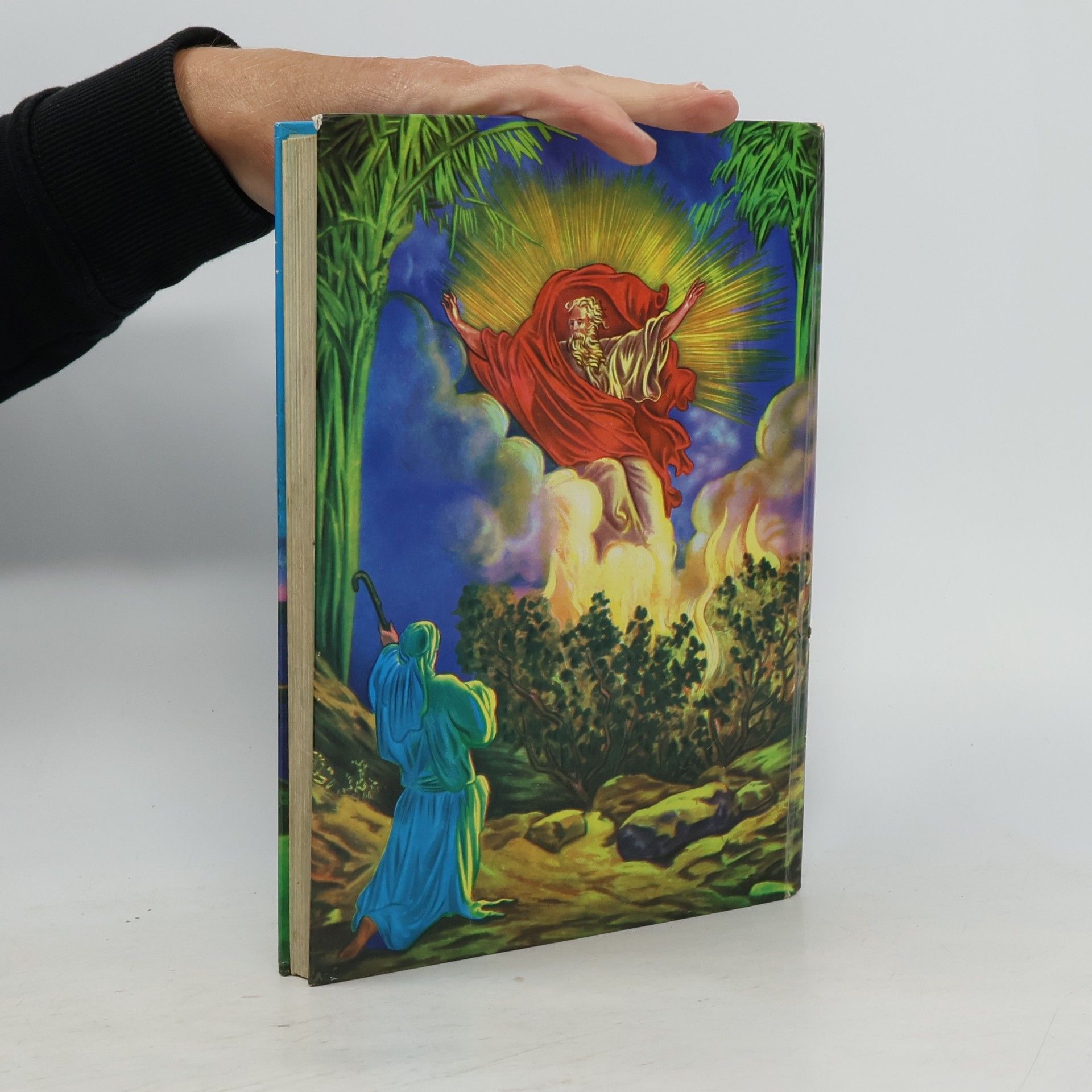 Autorenkollektiv La Biblia Ilustrada