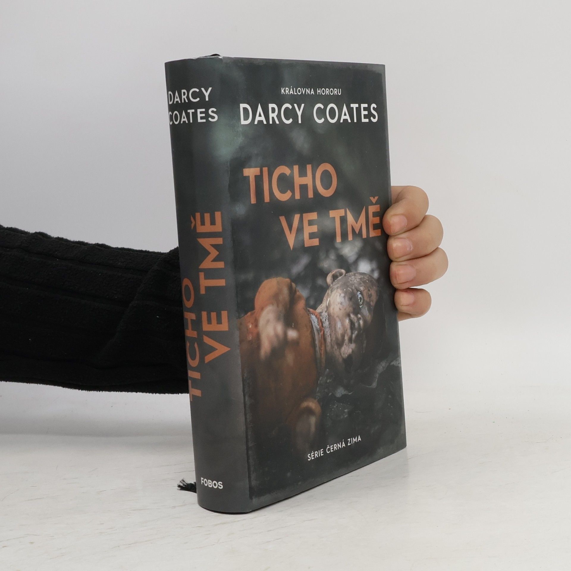 Darcy Coates Ticho ve tmě
