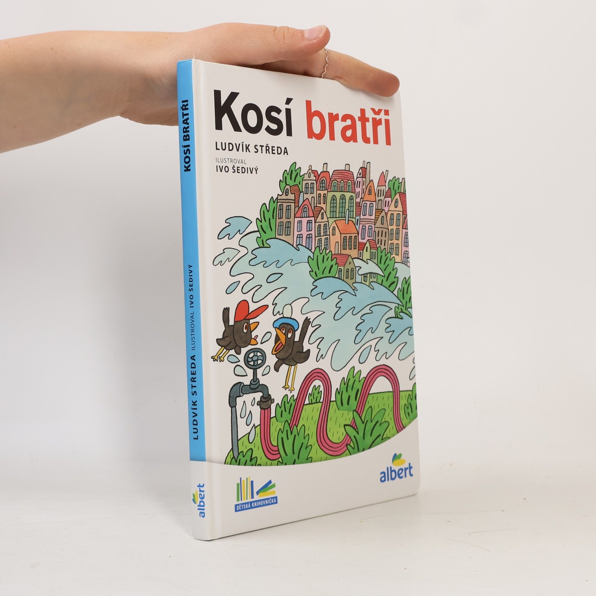 Ludvík Středa Kosí bratři
