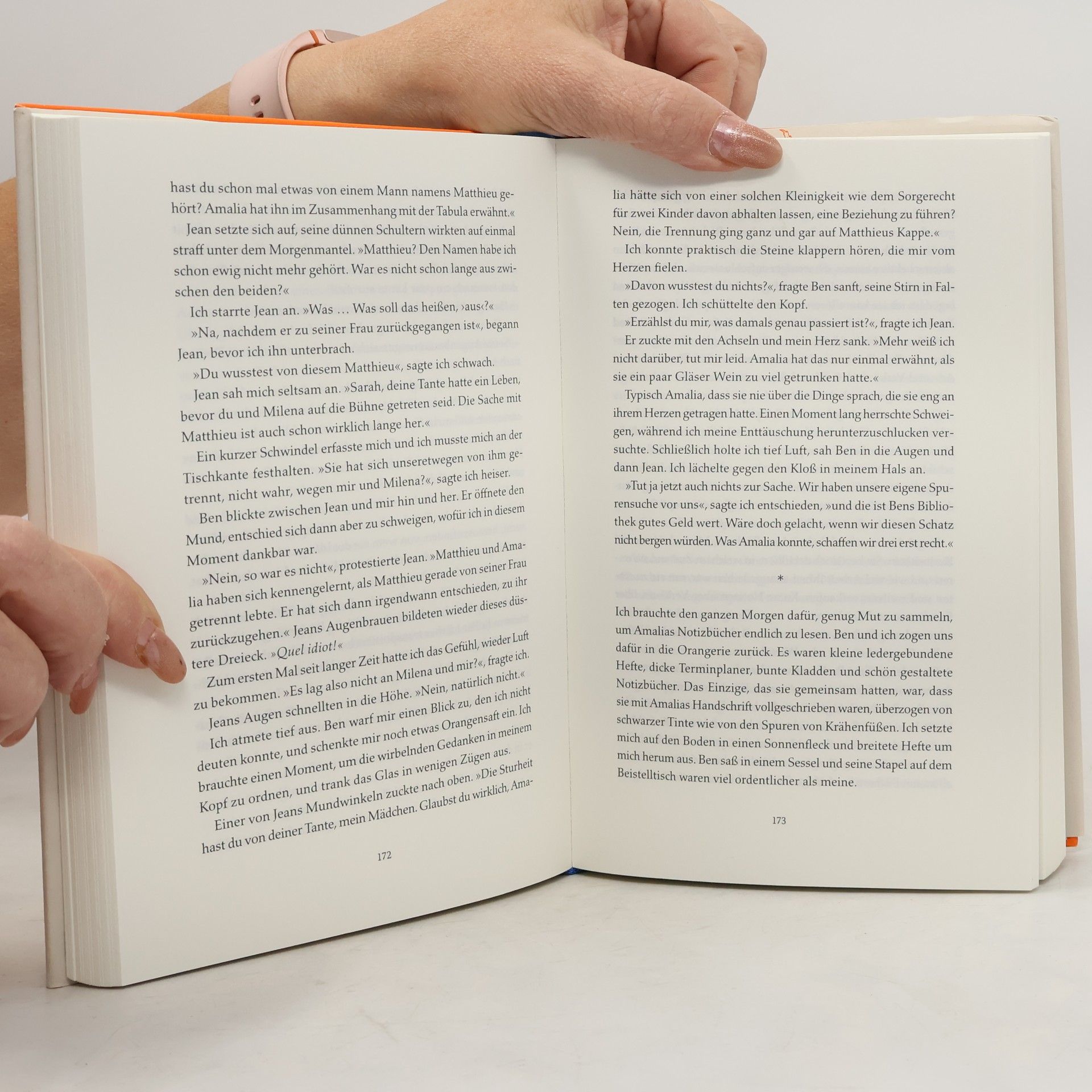 Elisabeth Beer Die Bücherjägerin