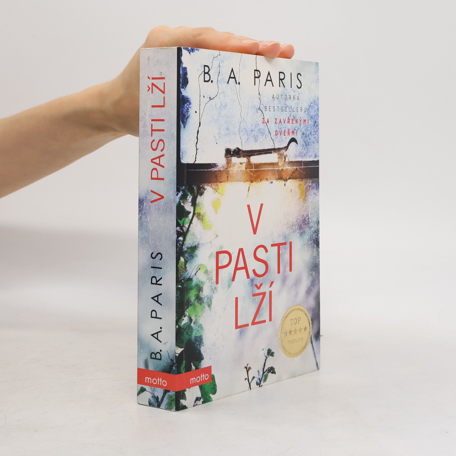 B.A. Paris V pasti lží