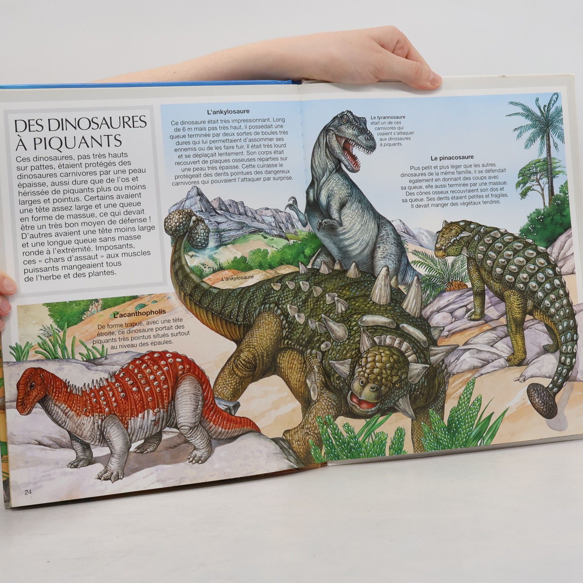 Émilie Beaumont Les dinosaures