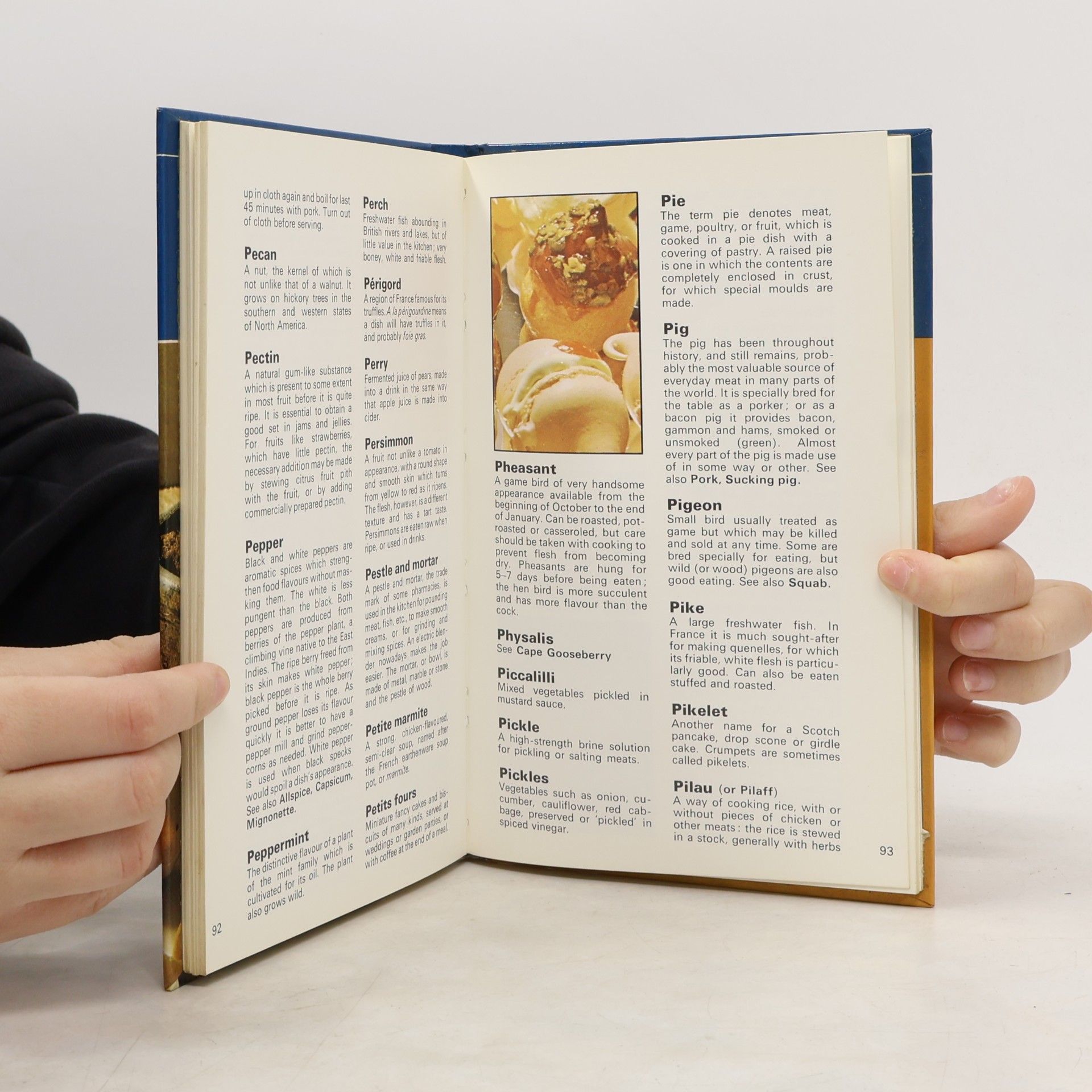 Autorenkollektiv Dictionary of Cookery Terms