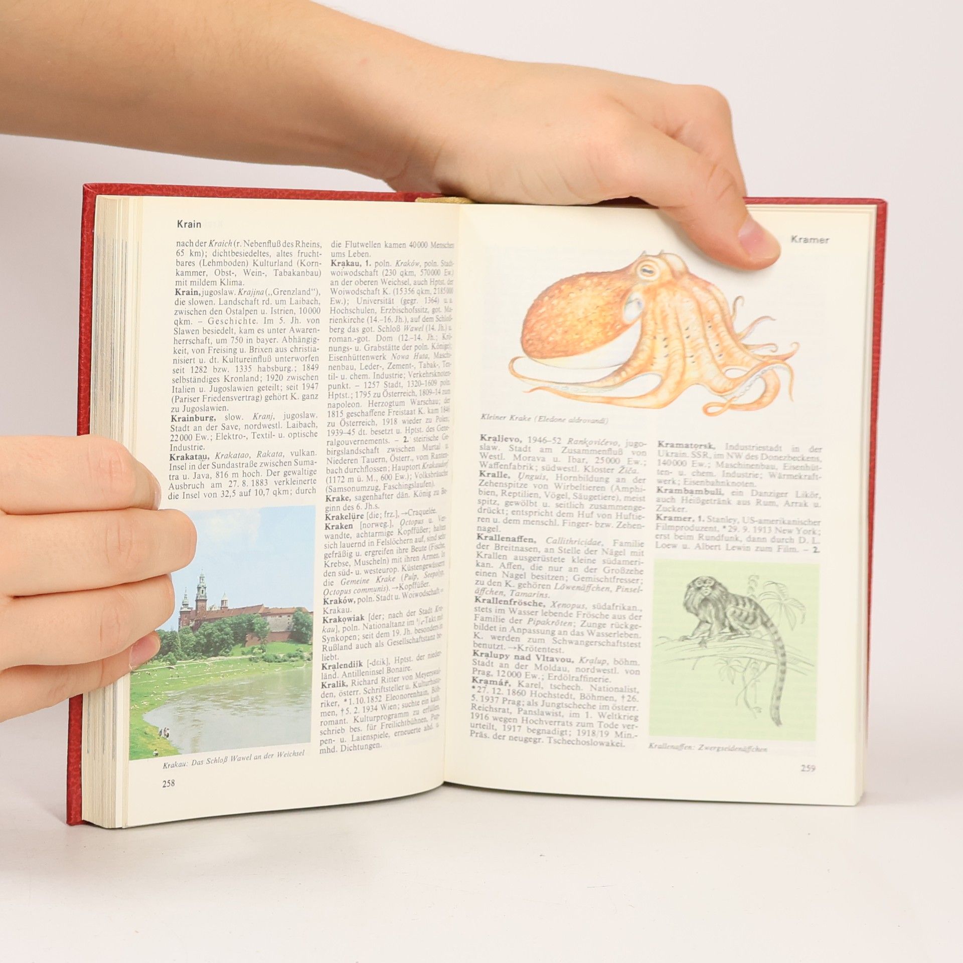 Autorenkollektiv Das moderne Lexikon 1-20