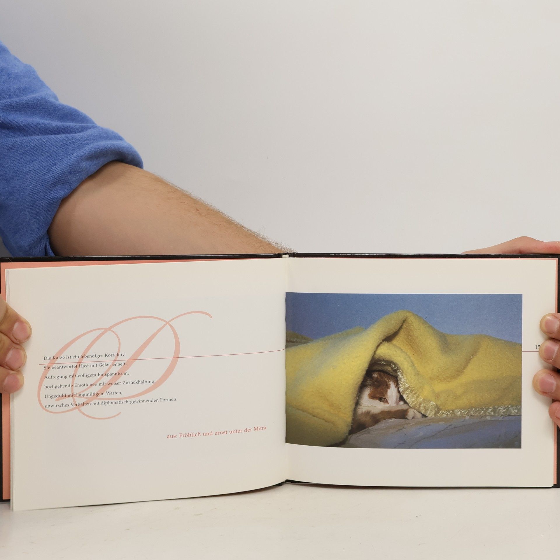 Reinhold Stecher Licht-Bilder