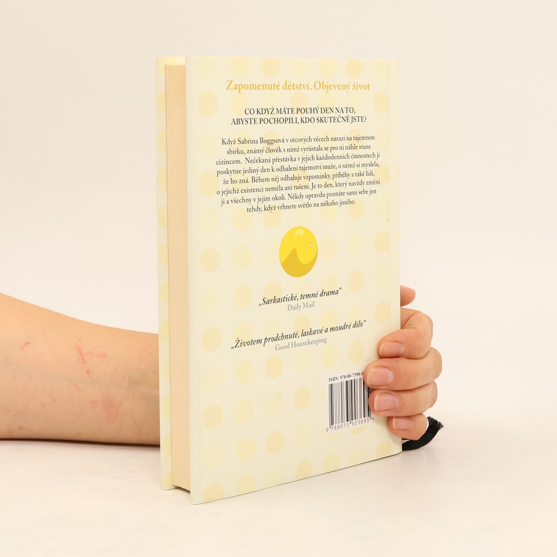 Cecelia Ahern Sběratel skleněnek