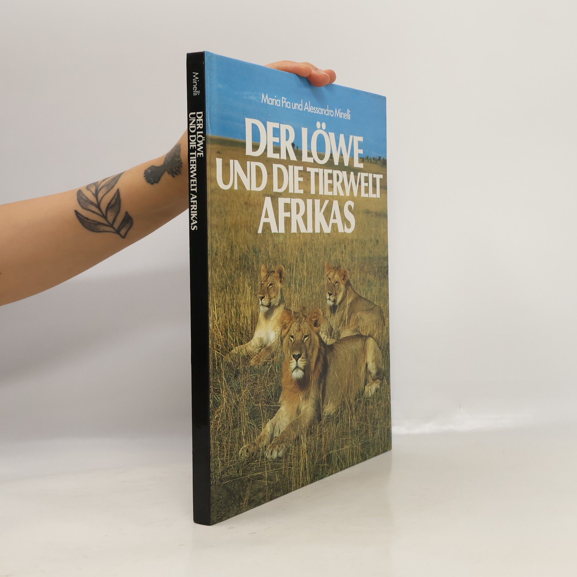 Marina Pua Der Löwe und die Tierwelt Afrikas