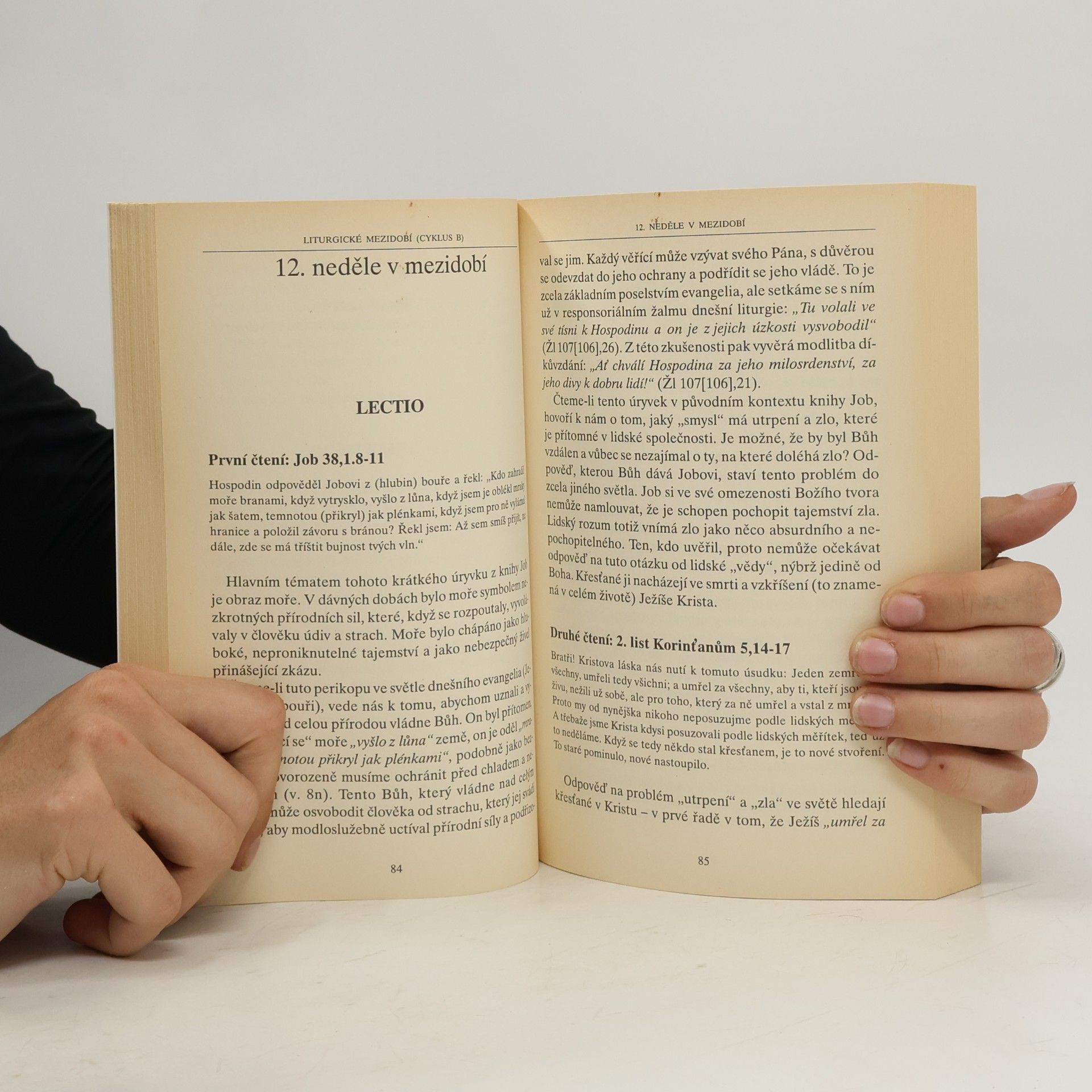Giorgio Zevini Lectio divina na každý den v roce 6