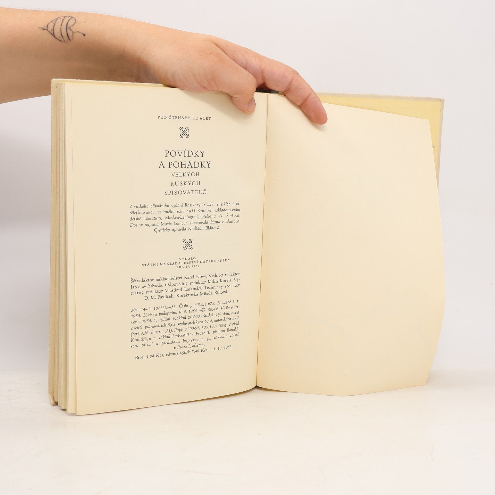 Autorenkollektiv Povídky a pohádky velkých ruských spisovatelů