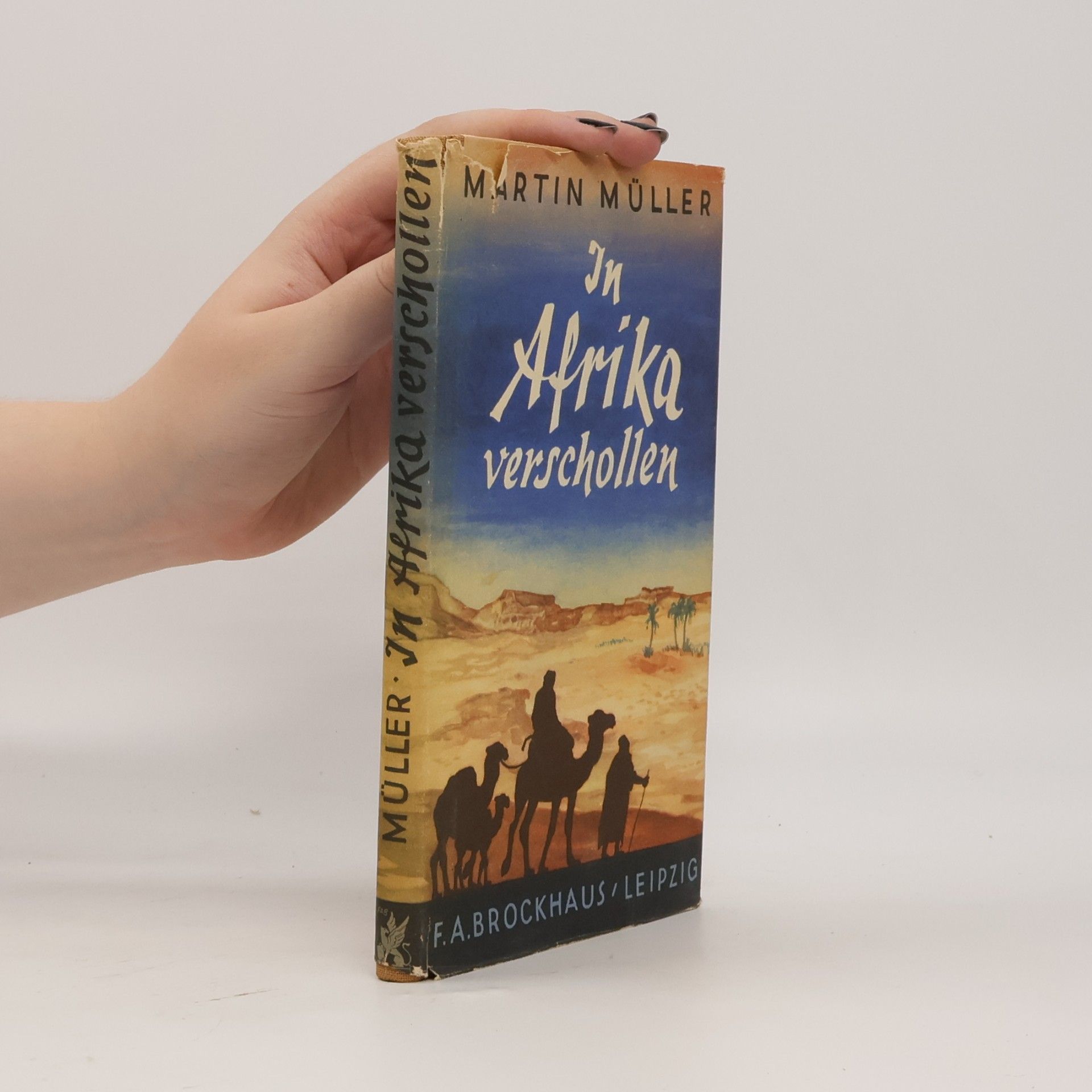 Martin Müller In Afrika verschollen