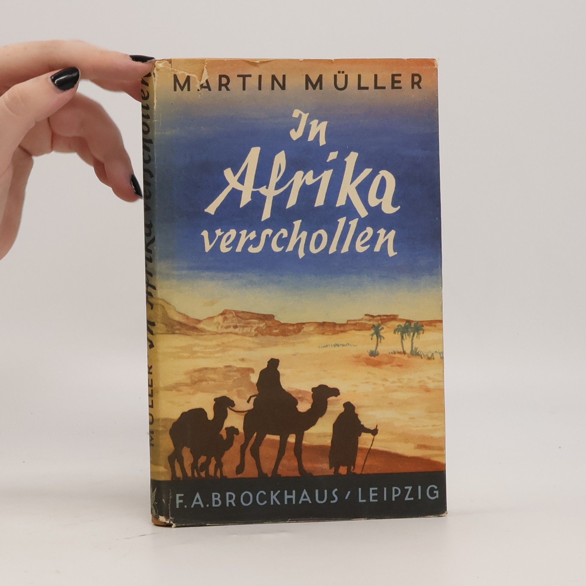 Martin Müller In Afrika verschollen