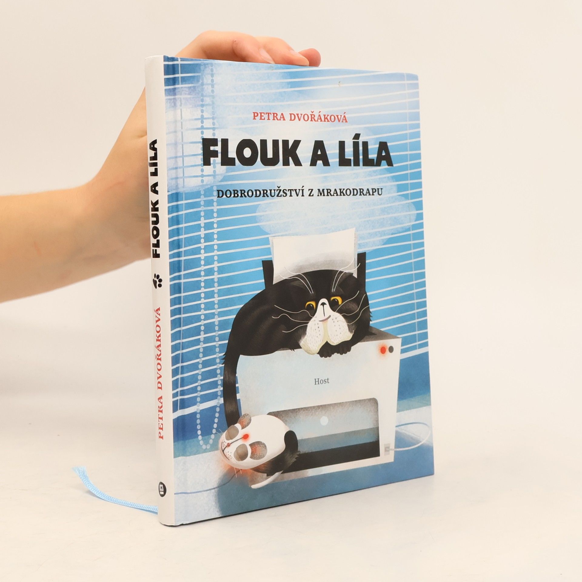 Petra Dvořáková Flouk a Líla: Dobrodružství z mrakodrapu