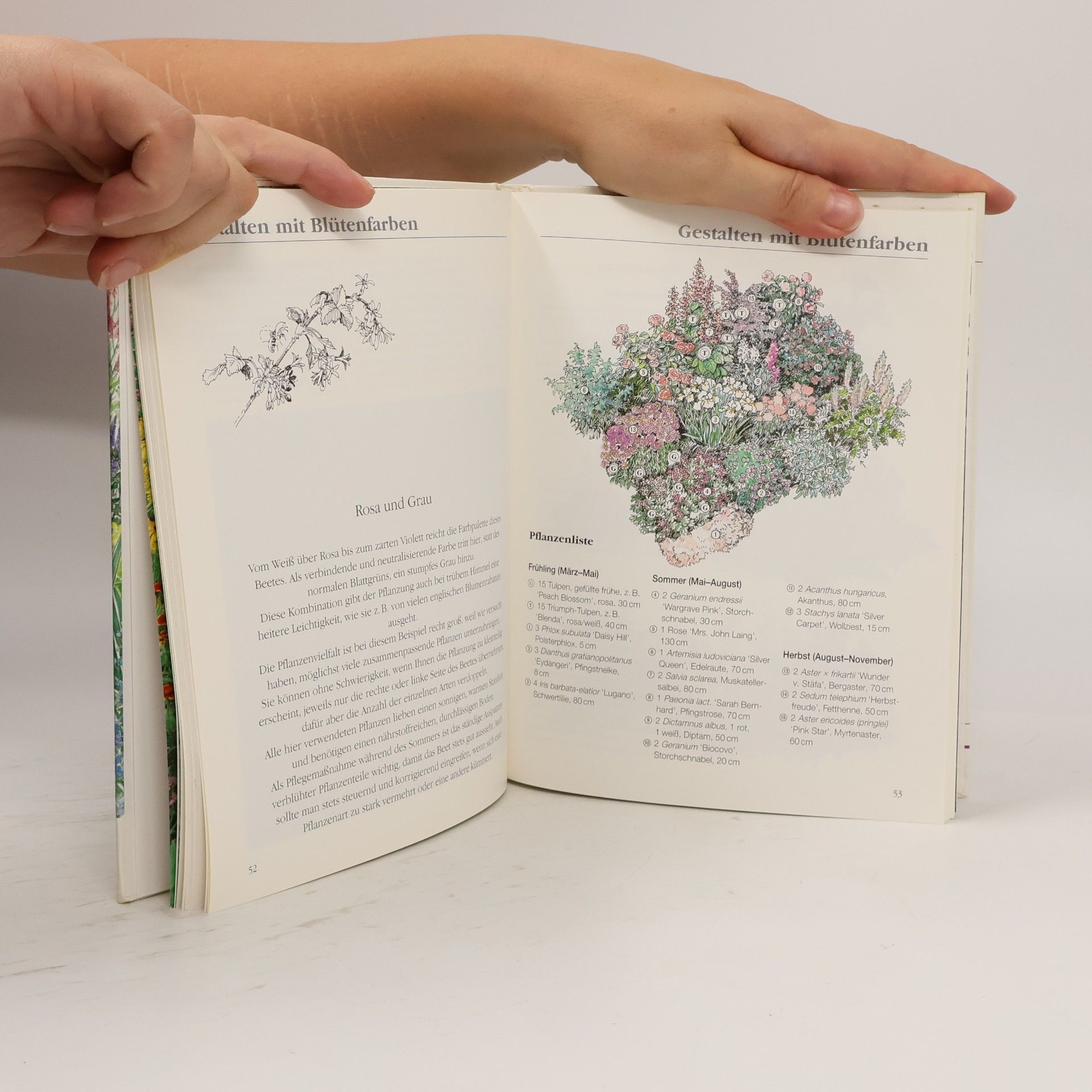 Gisela Zinkernagel Farbenfrohe Blumenbeete