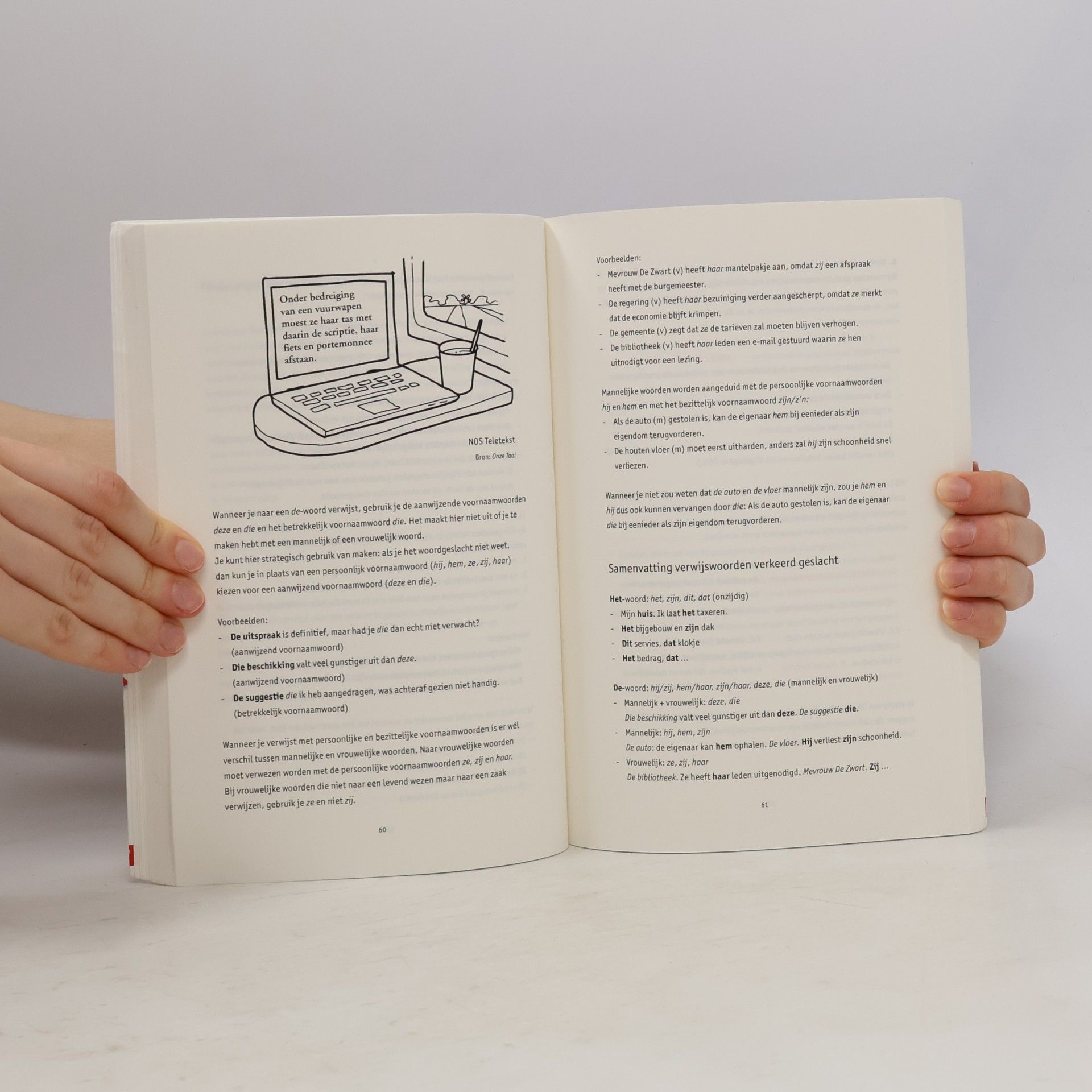 Jantien Dhont Communicatiereeks - 2: Schrijfdelicten