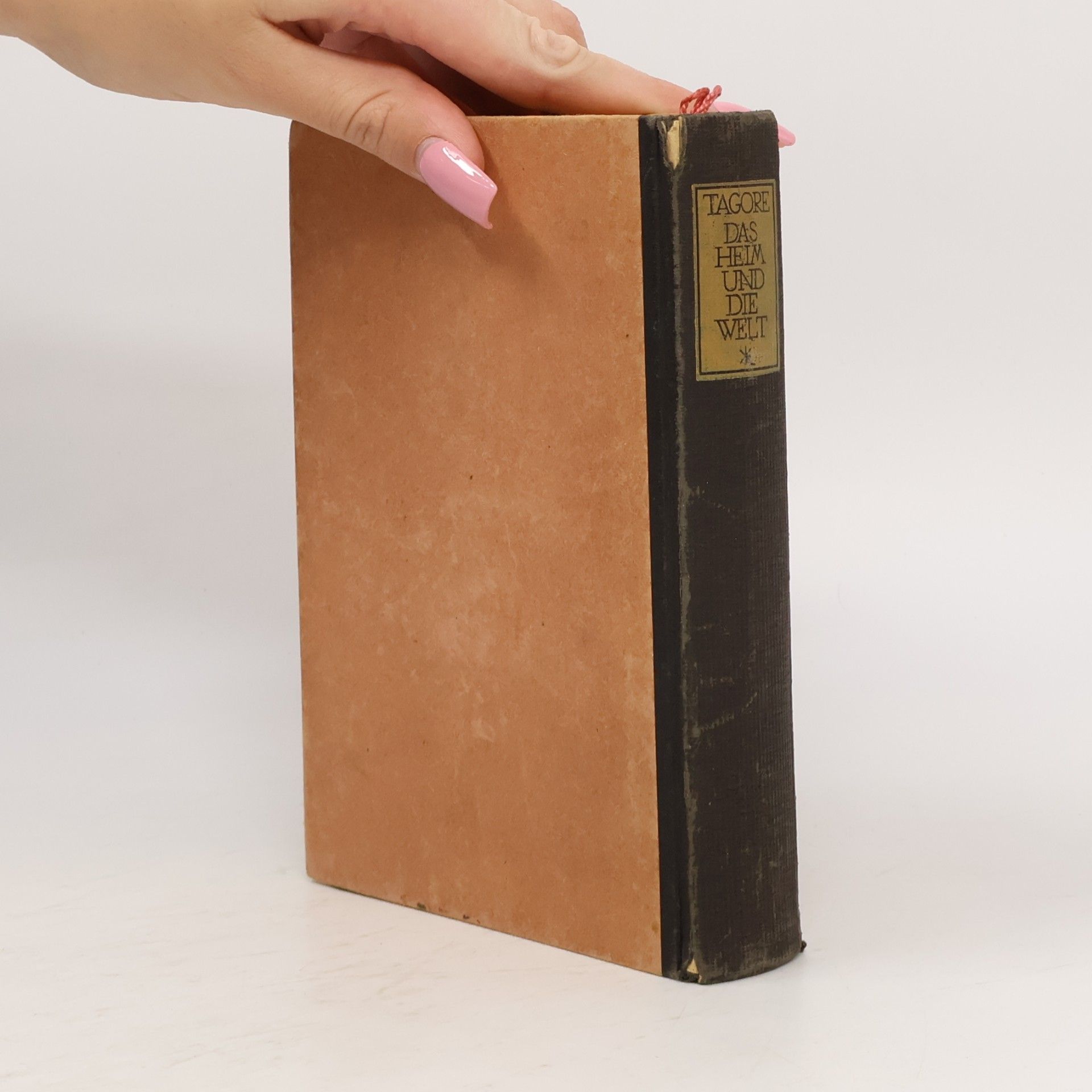 Rabindranath Tagore Das Heim und die Welt