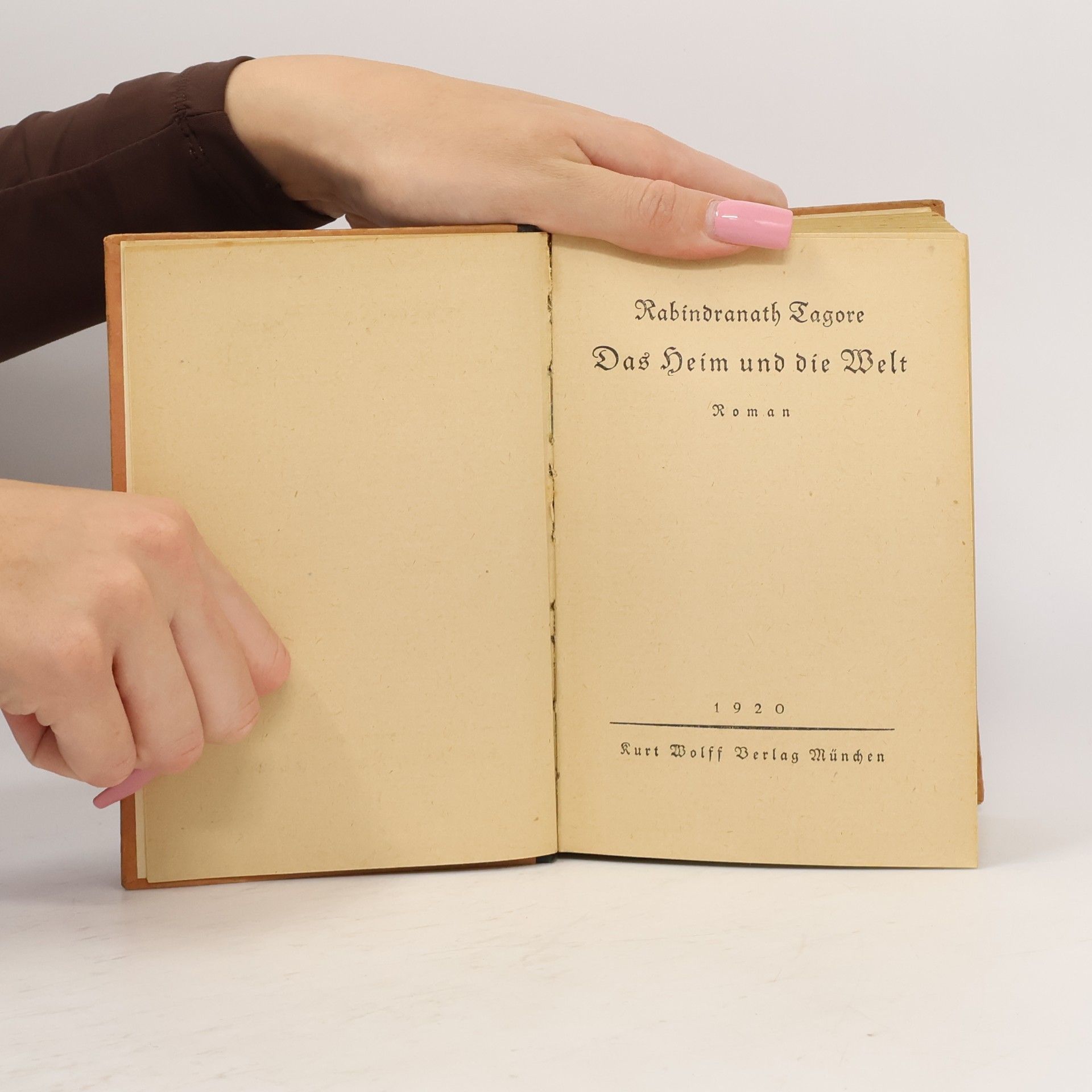 Rabindranath Tagore Das Heim und die Welt
