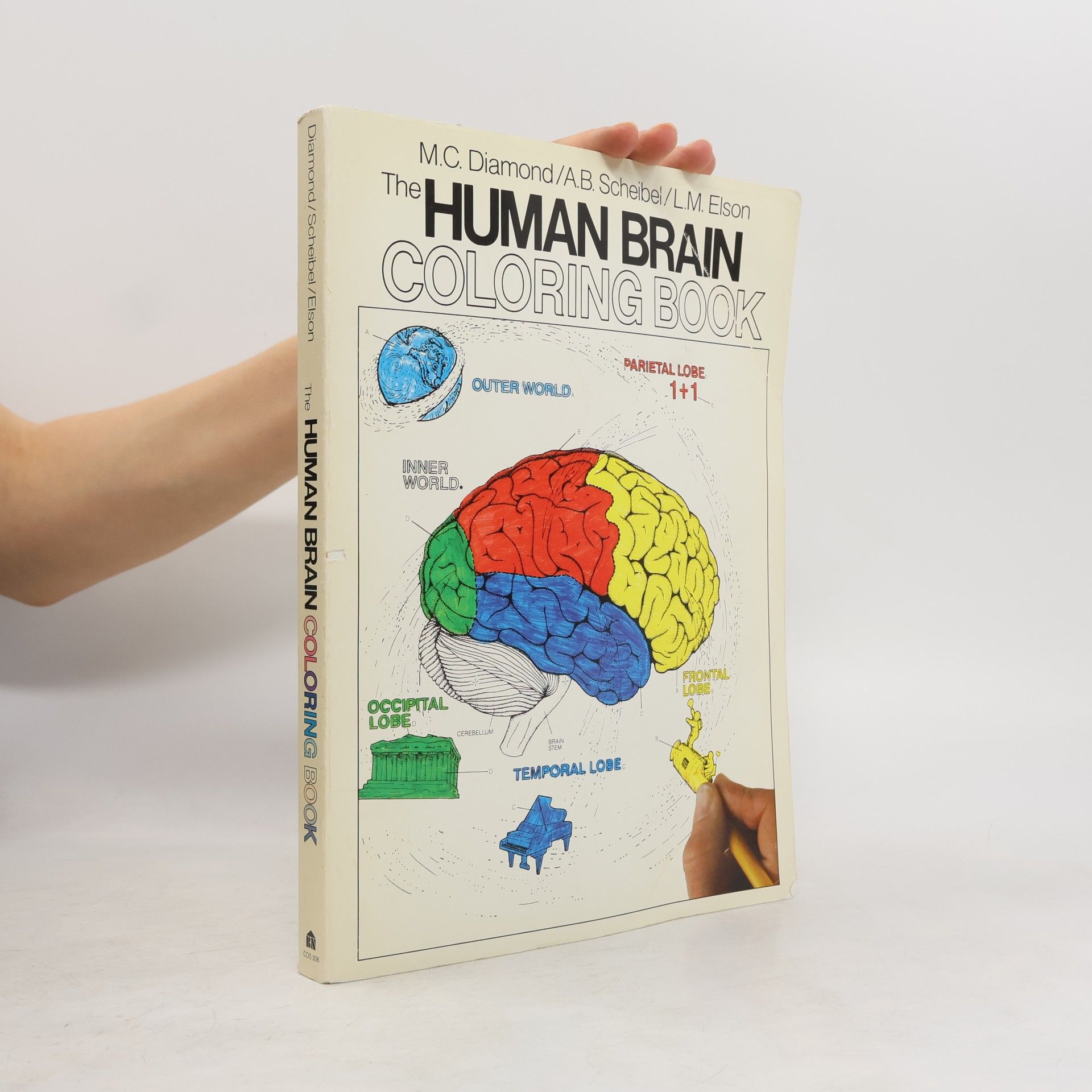 Arnold B. Scheibel The Human Brain Coloring Book