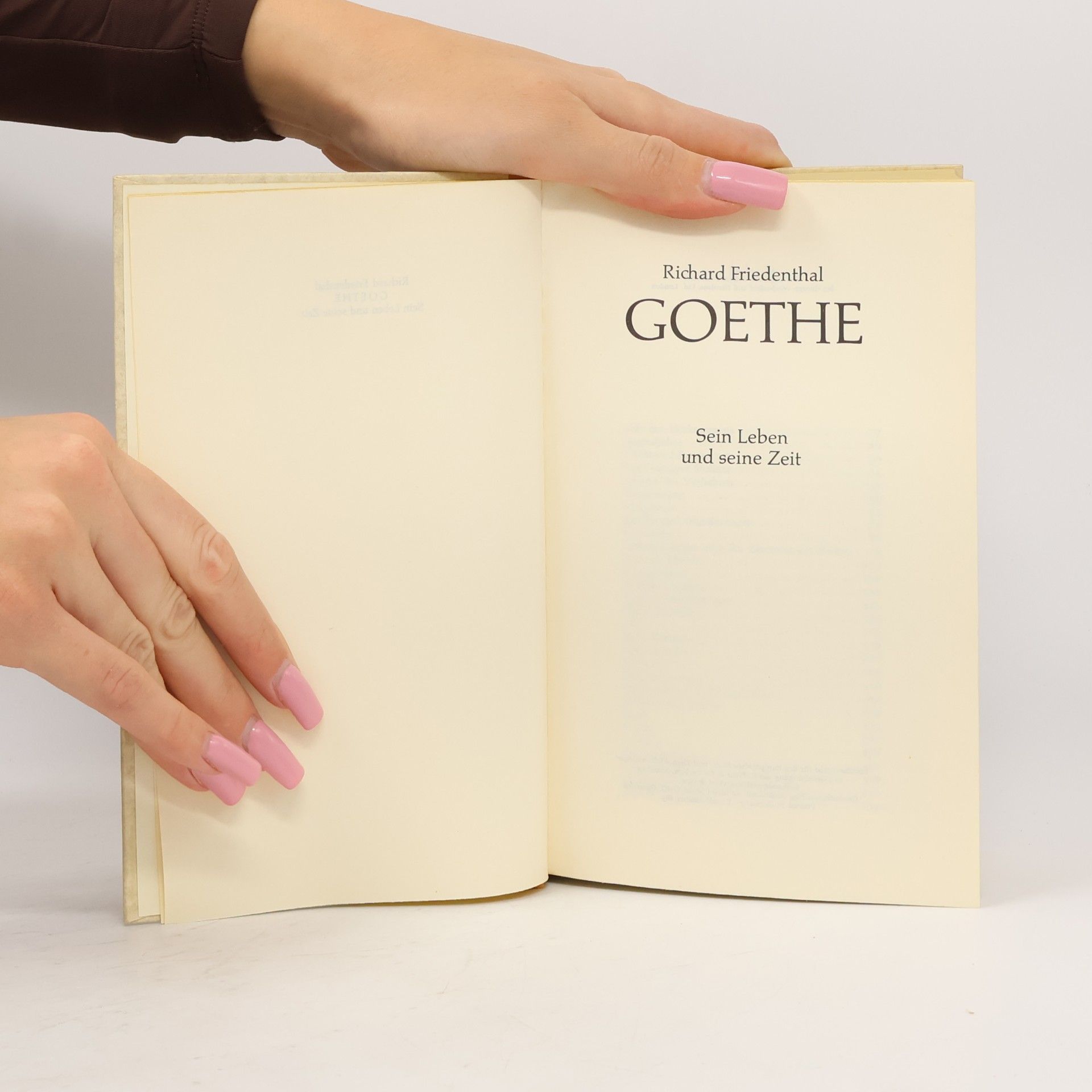 Rihard Fridental Goethe. Sein leben und seine Zeit