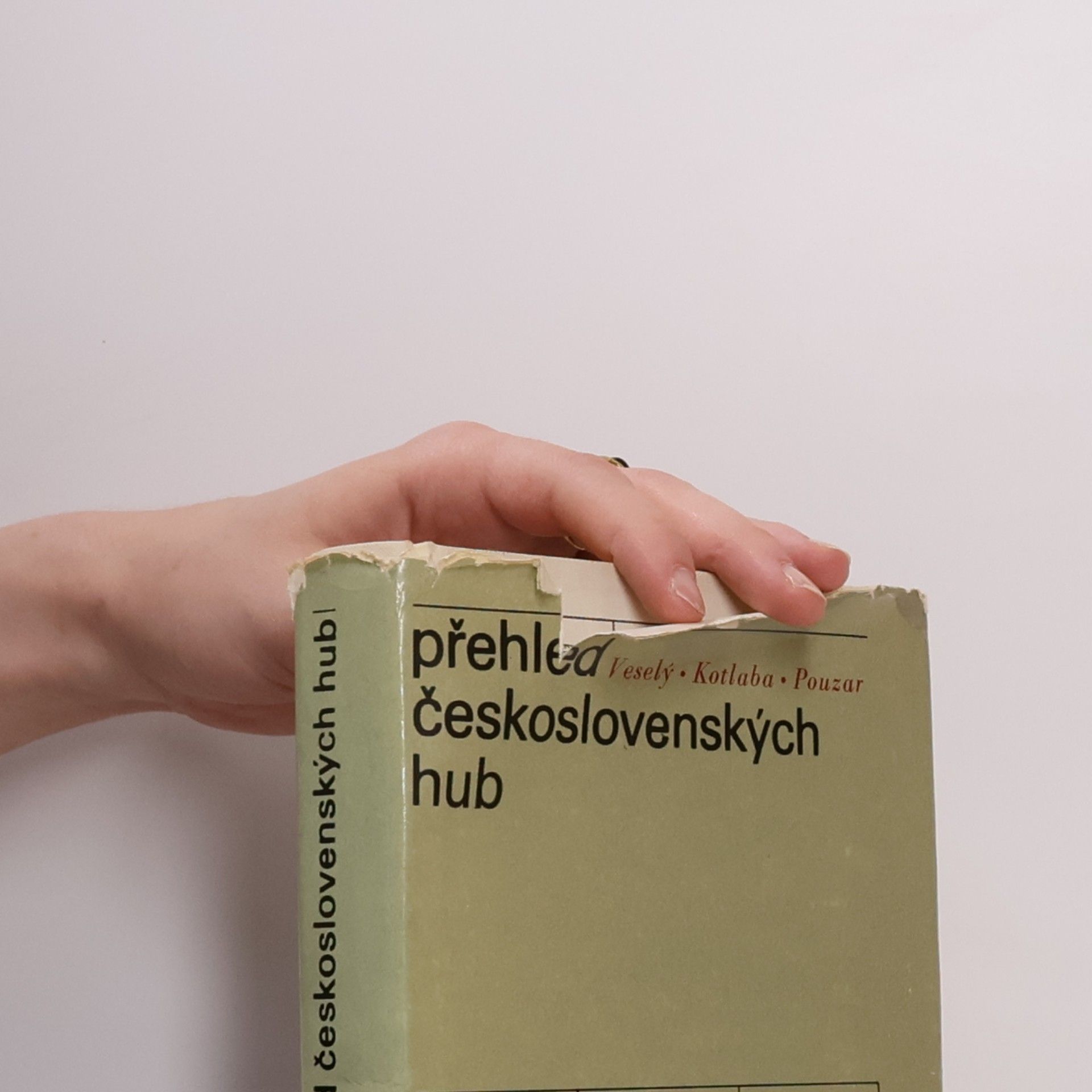 František Kotlaba Přehled československých hub