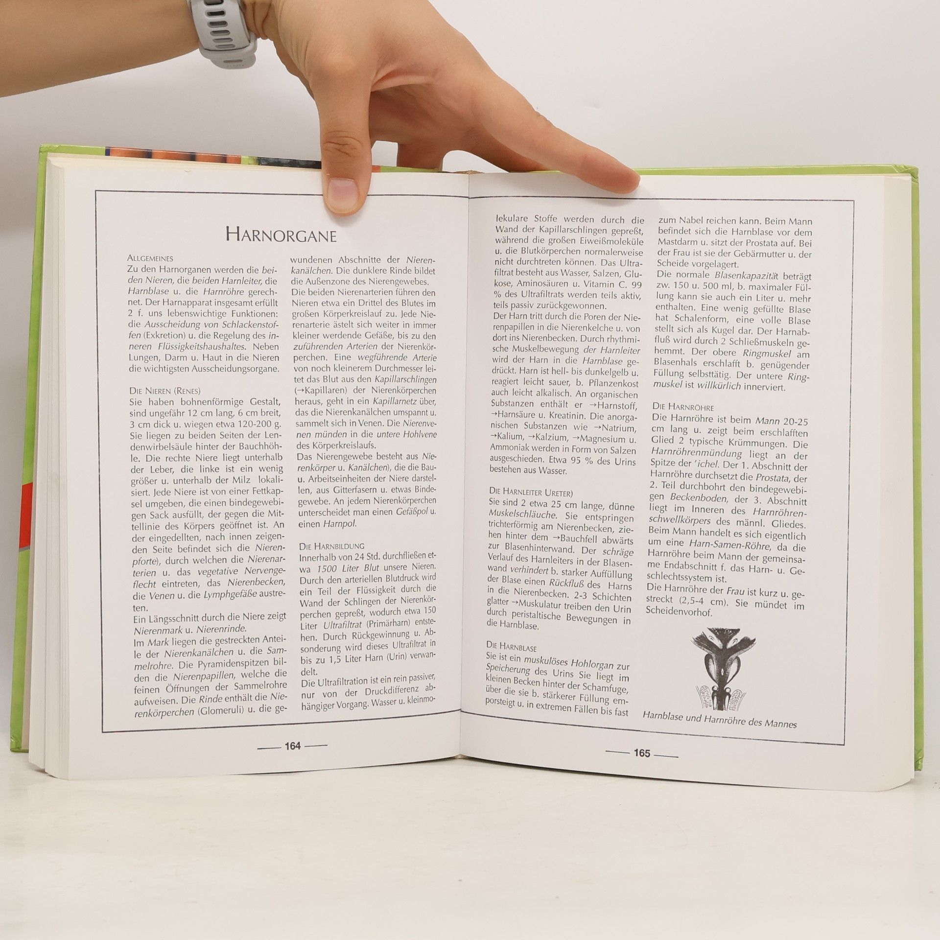 Autorenkollektiv Gesundheit von A-Z