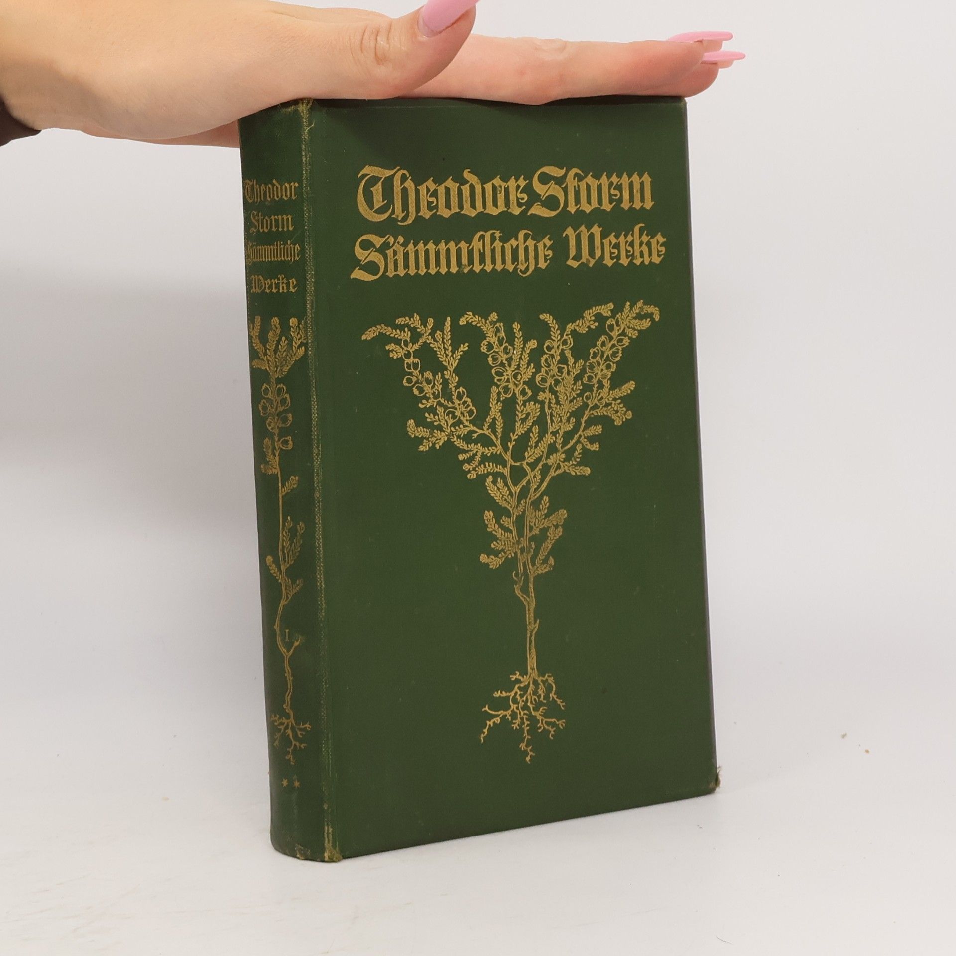 Theodor Storm Sämmtliche Werke I