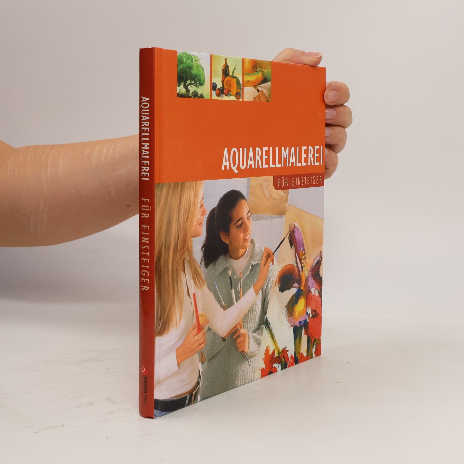 Aquarellmalerei für Einsteiger