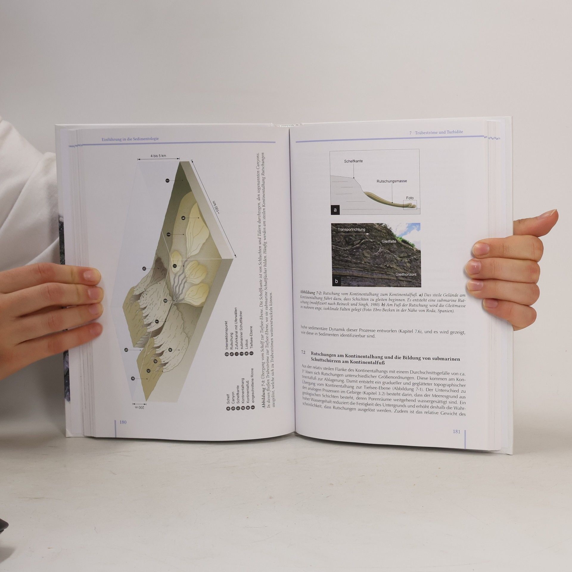 Fritz Schlunegger Einführung in die Sedimentologie