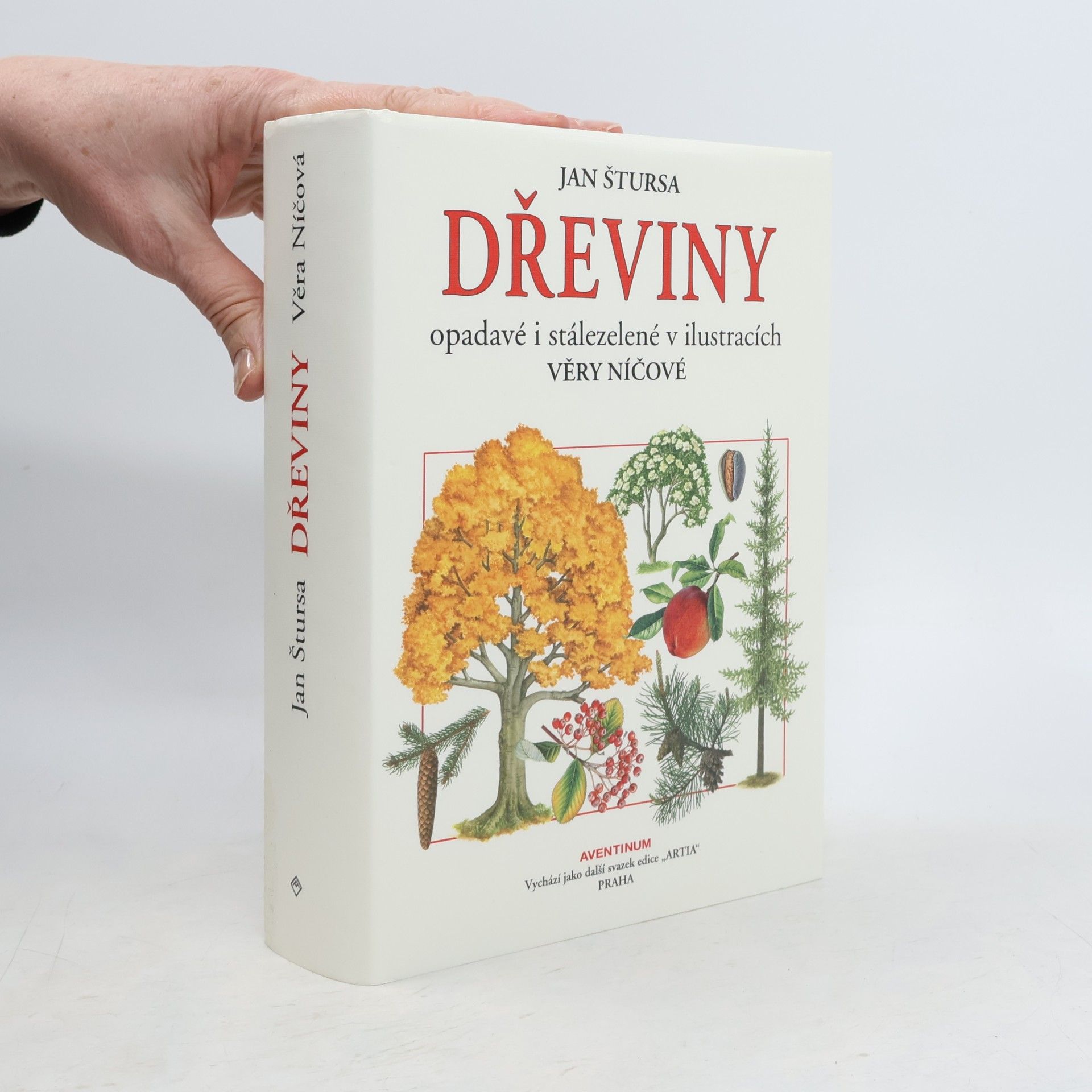 Jan Štursa Dřeviny opadavé i stálezelené