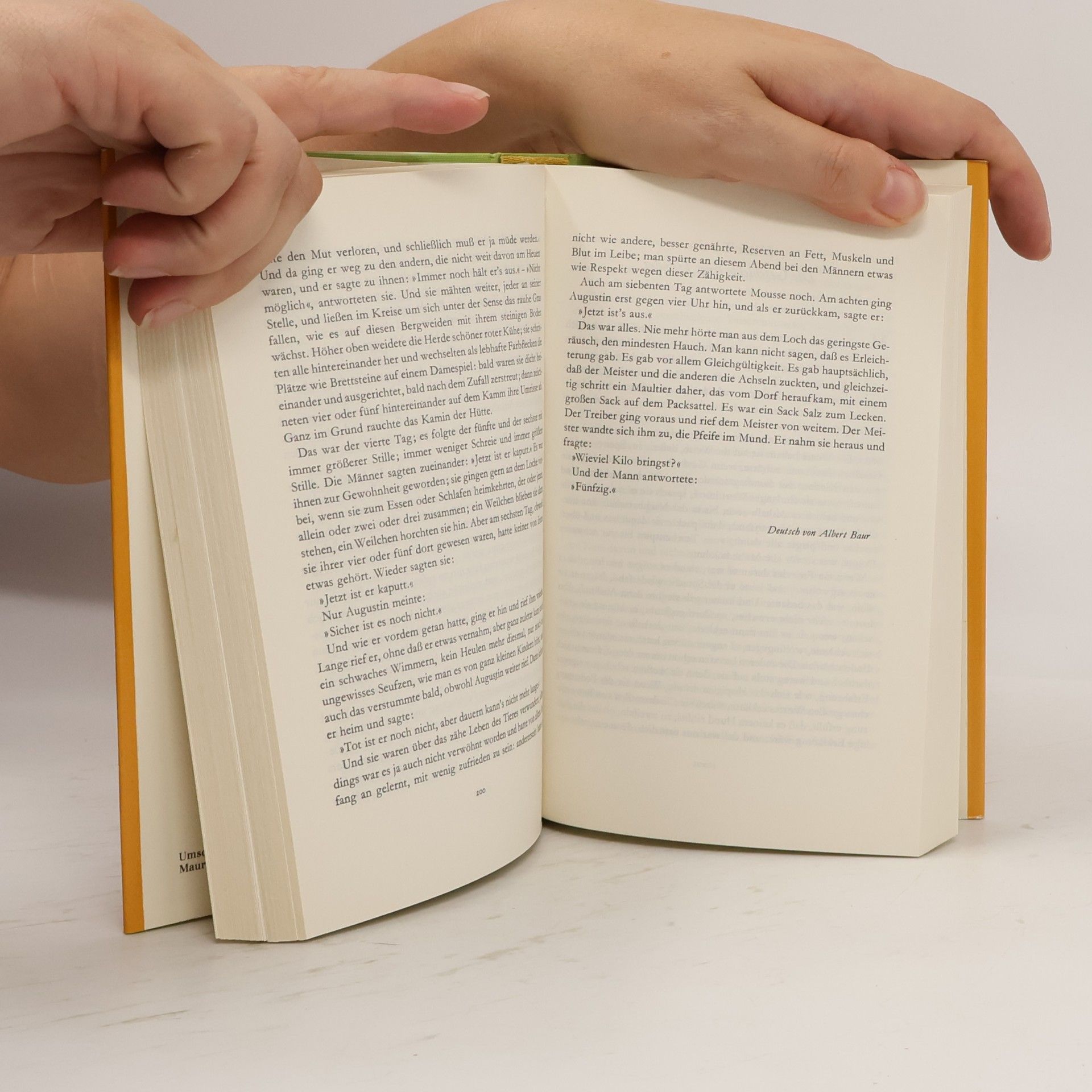 Autorenkollektiv Die schönsten Hundegeschichten. Von Anton Tschechow b. Friedrich Dürrenmatt