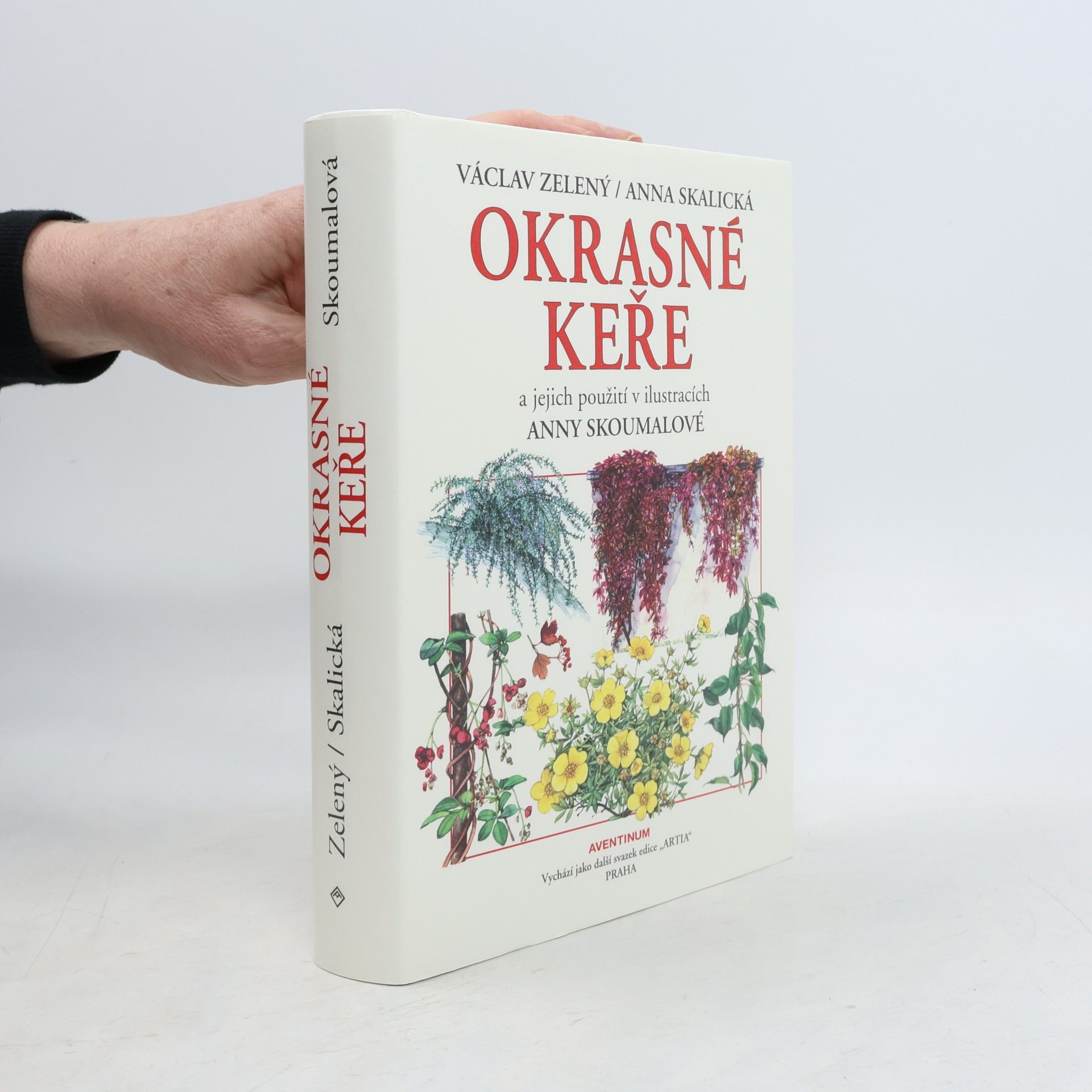 Okrasné keře a jejich použití