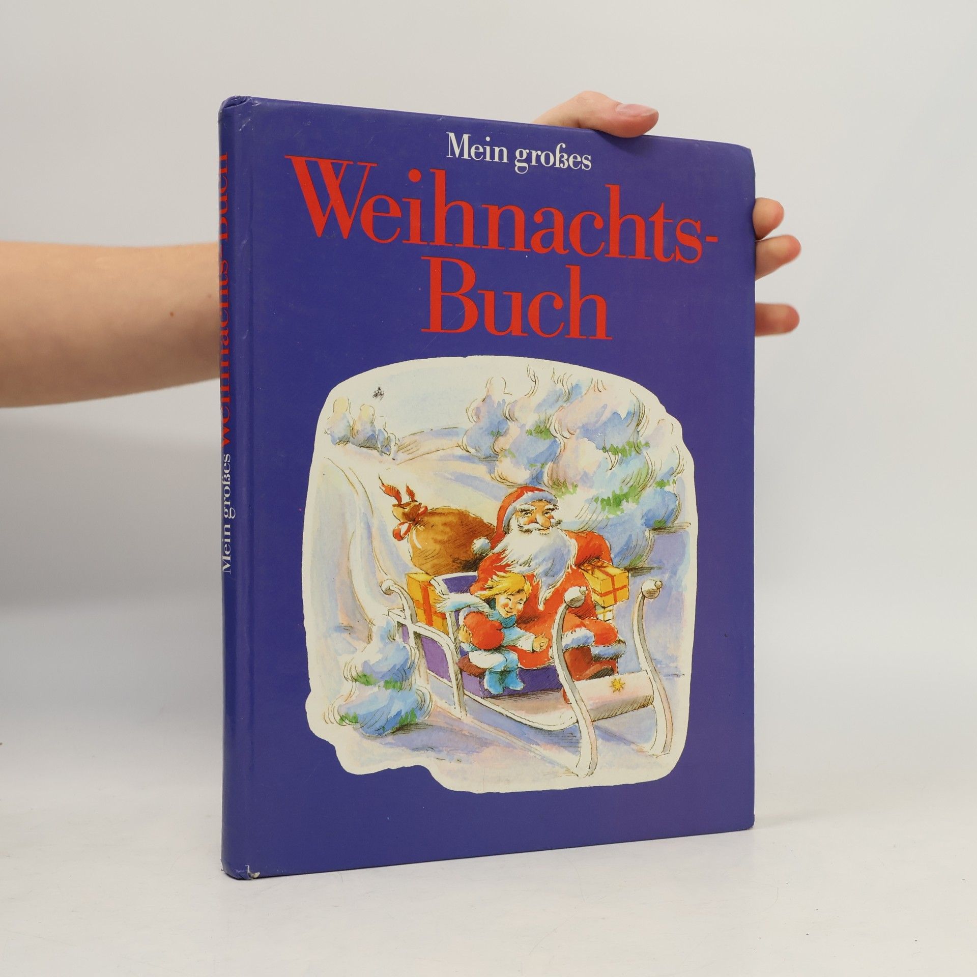 Mein grosses Weihnachts-Buch