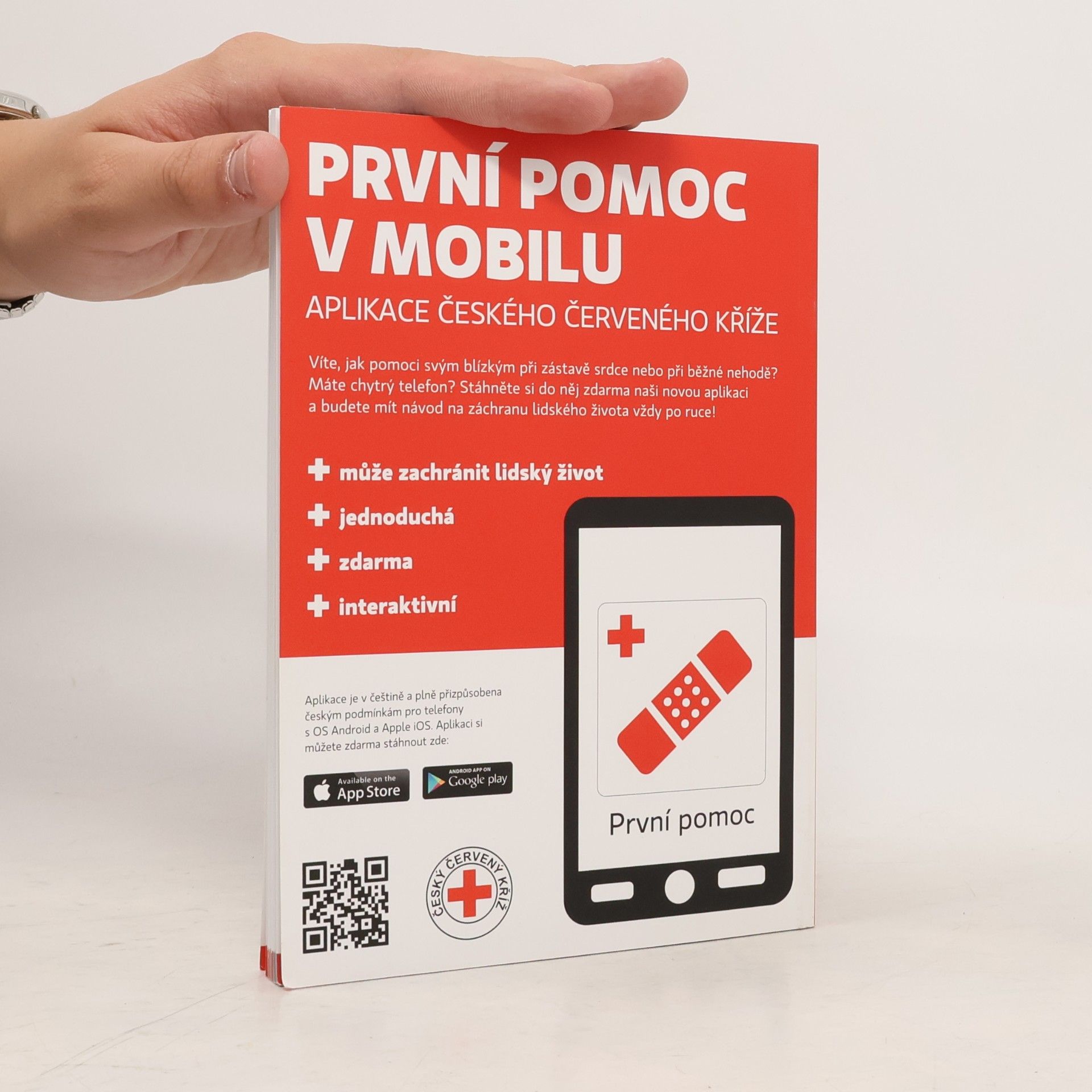 Autorenkollektiv Základy první pomoci