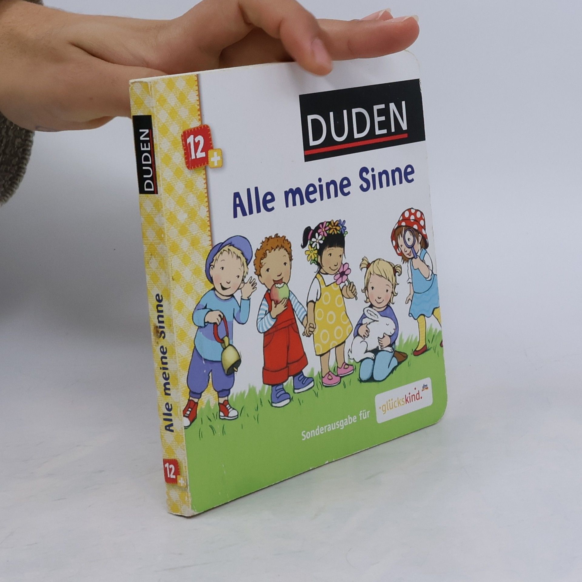 Alle meine Sinne