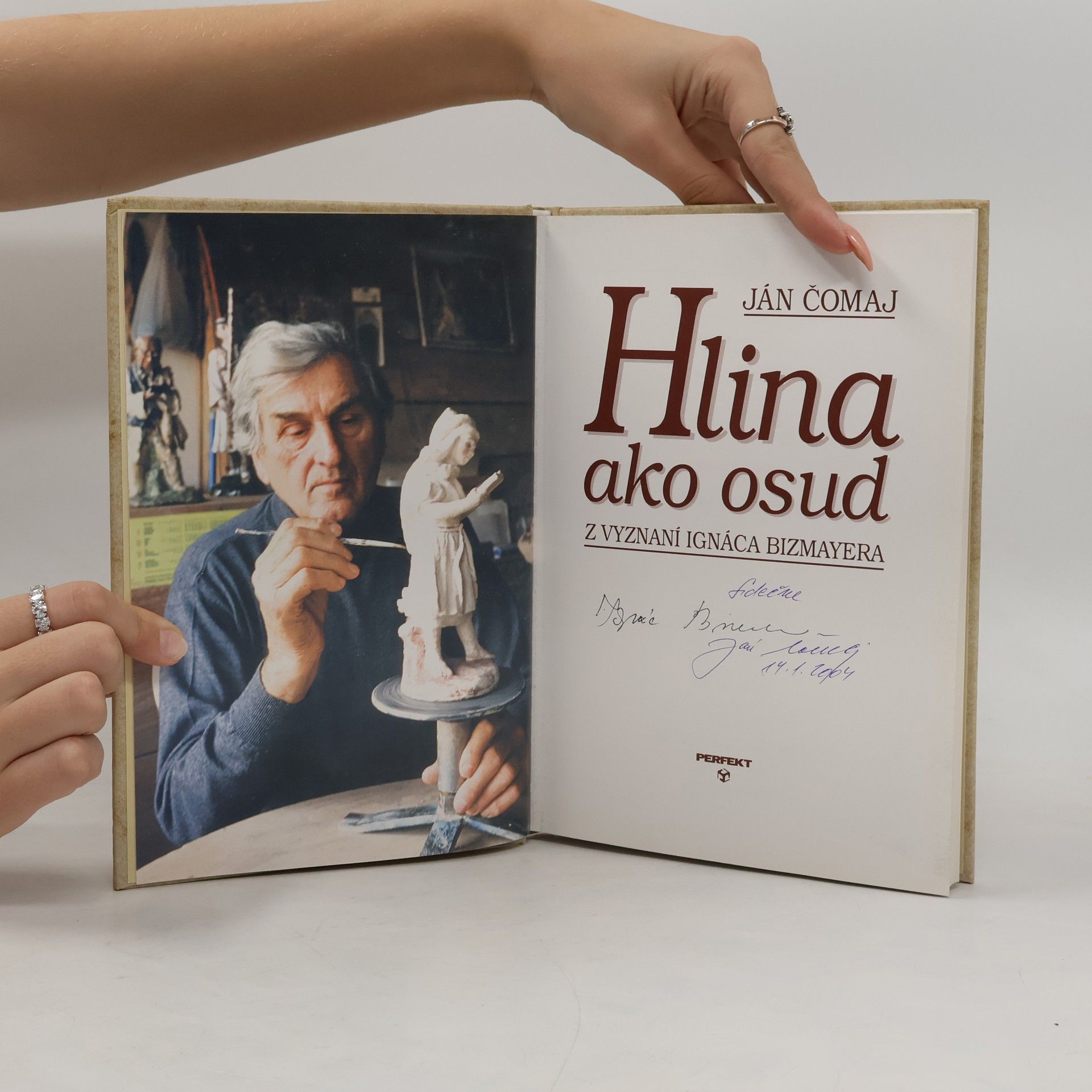 Kolektiv autorů Hlina ako osud