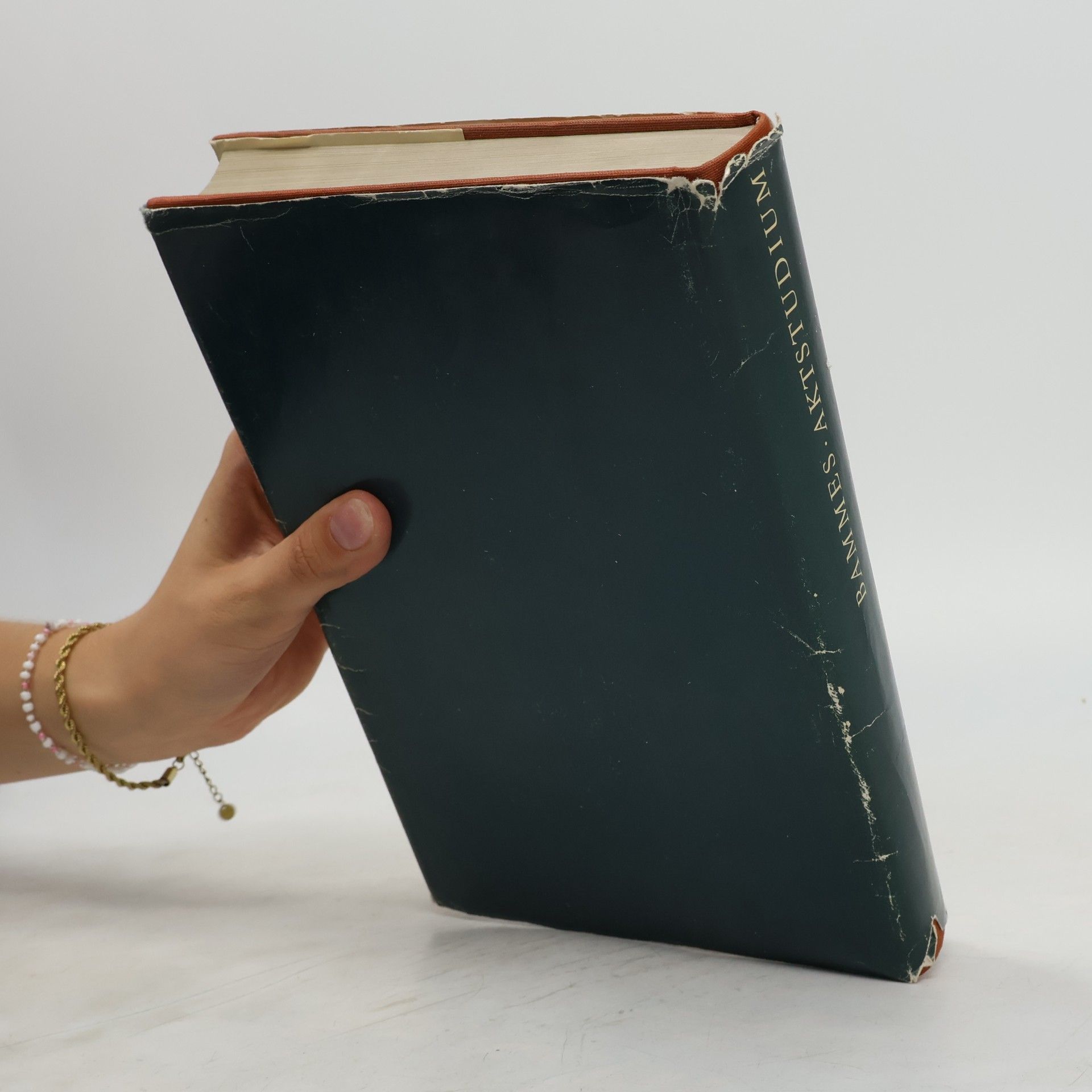 Gottfried Bammes Das zeichnerische Aktstudium