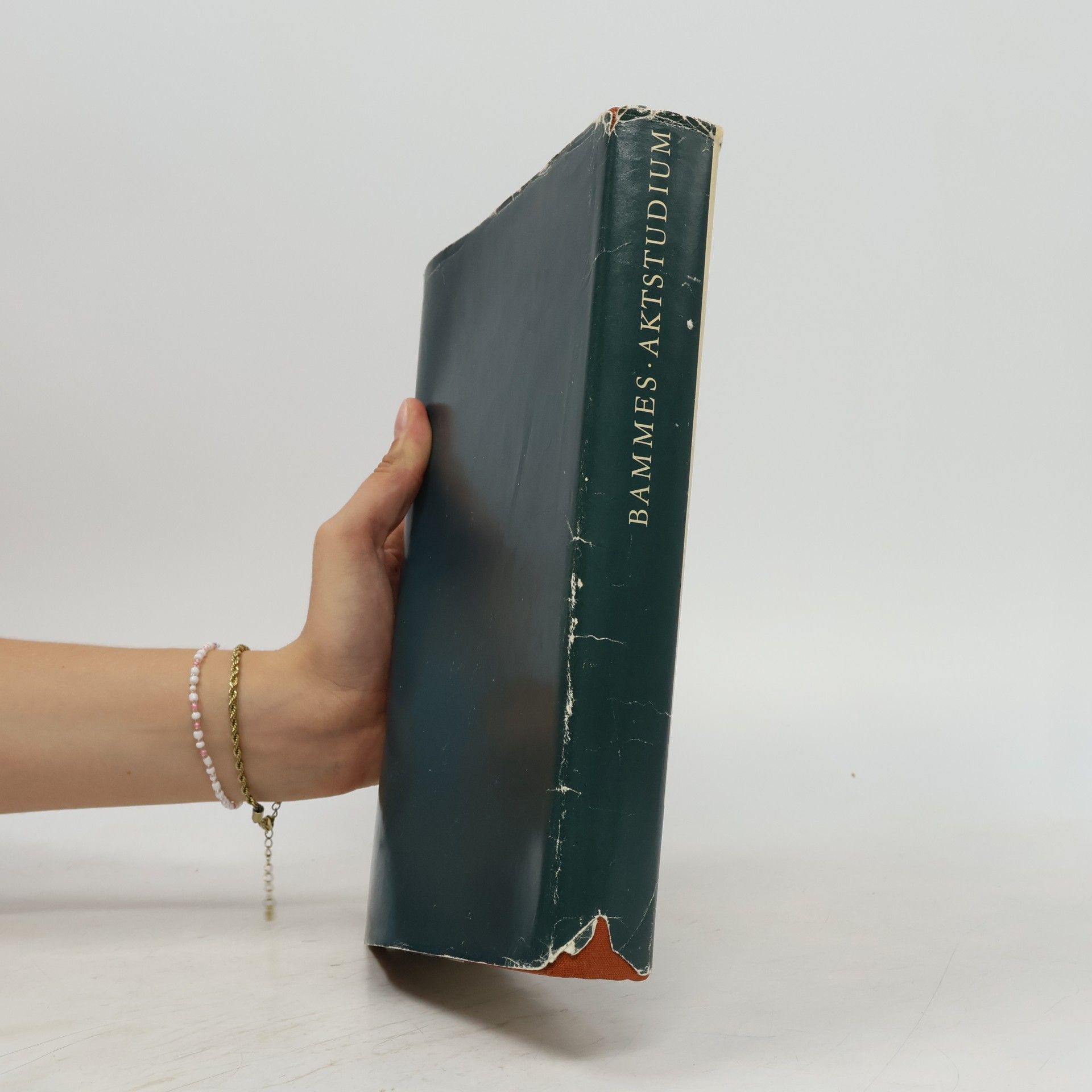Gottfried Bammes Das zeichnerische Aktstudium