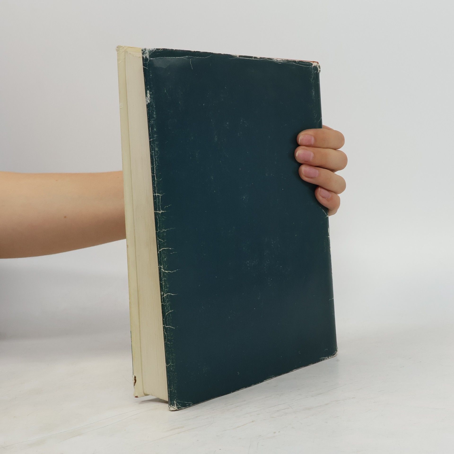 Gottfried Bammes Das zeichnerische Aktstudium