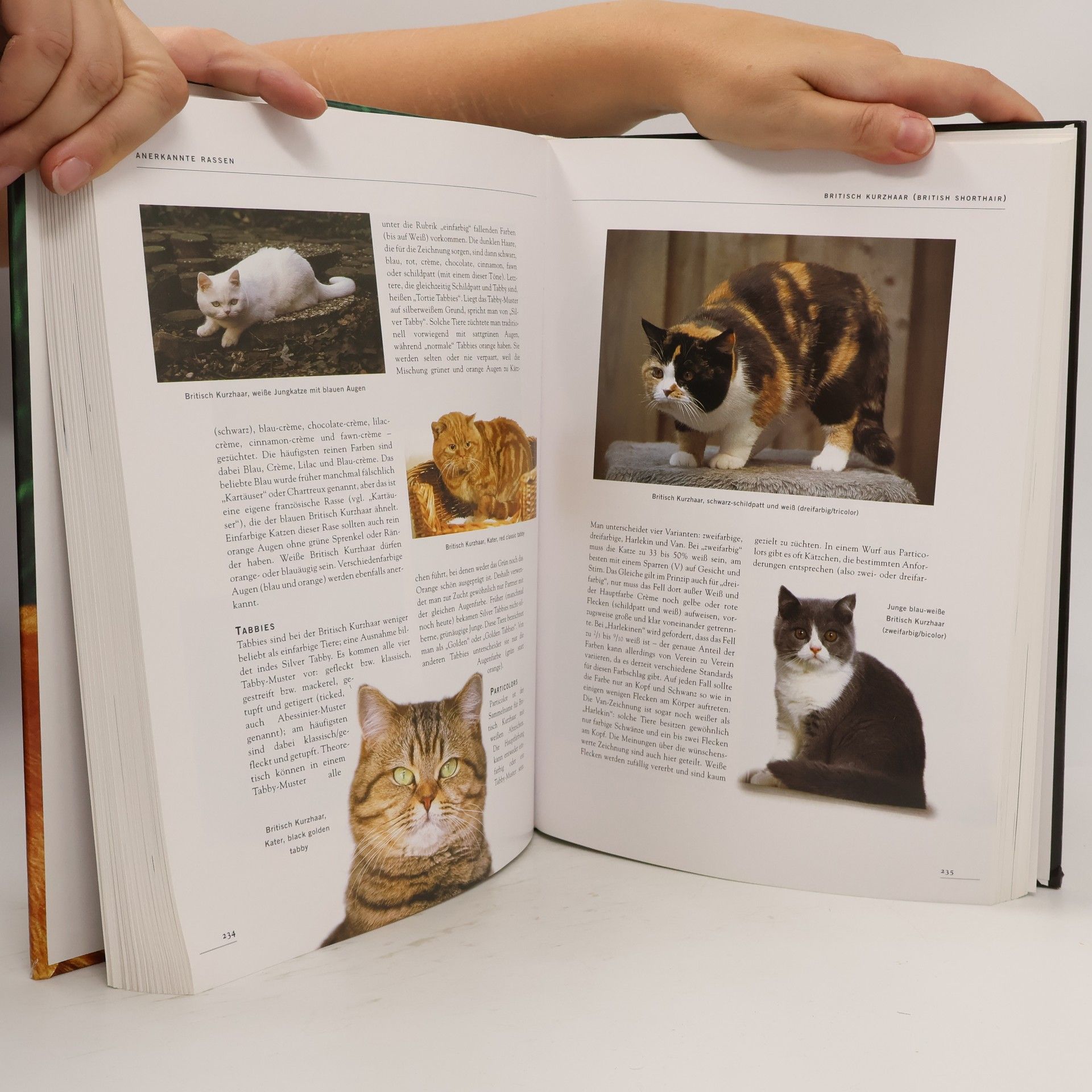 Esther Verhoef Die große Katzen-Enzyklopädie