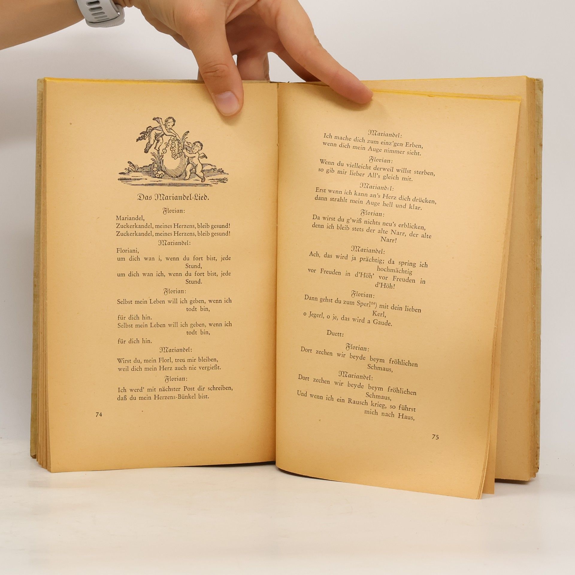 Rudolf Holzer Wiener Volks-Humor