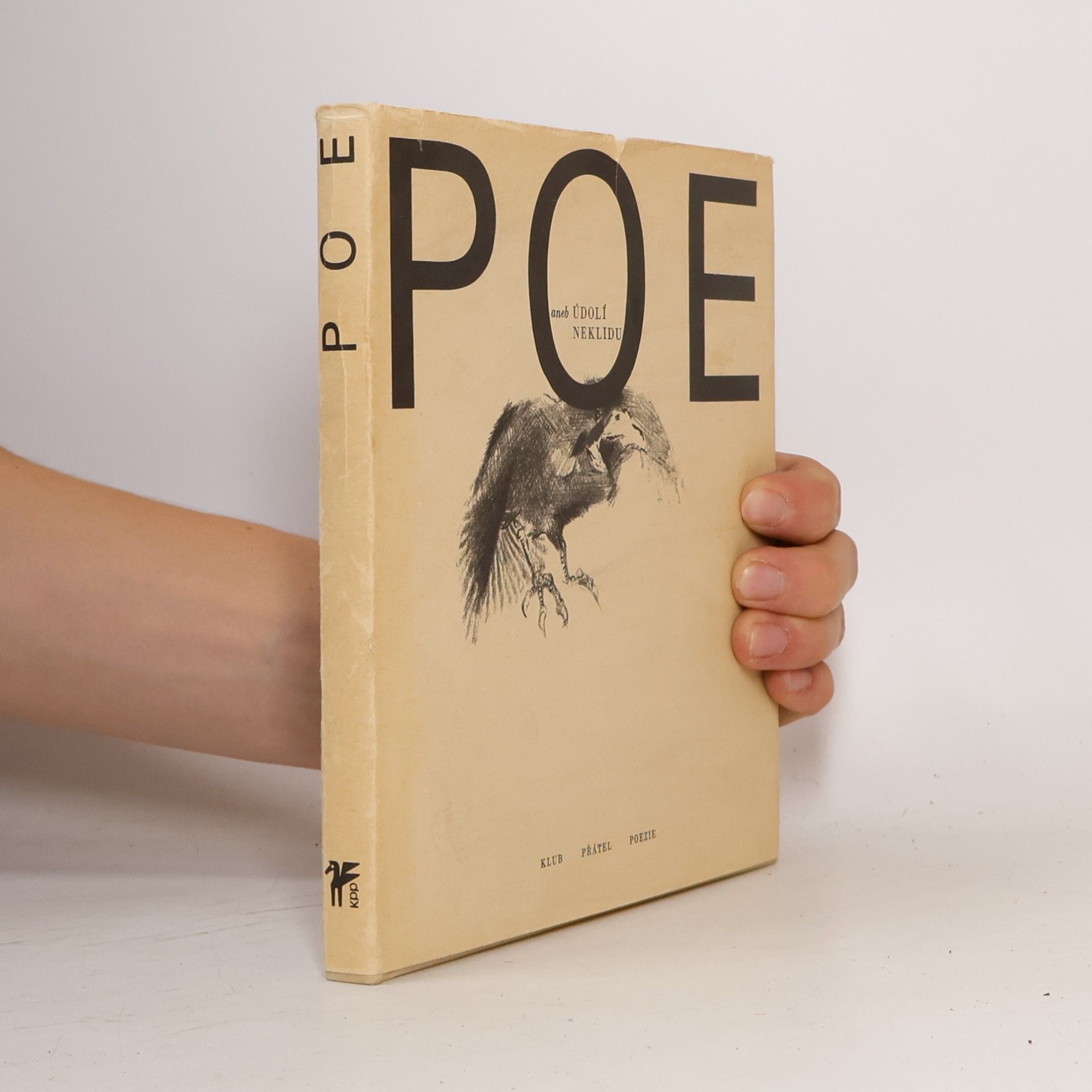 Poe aneb Údolí neklidu