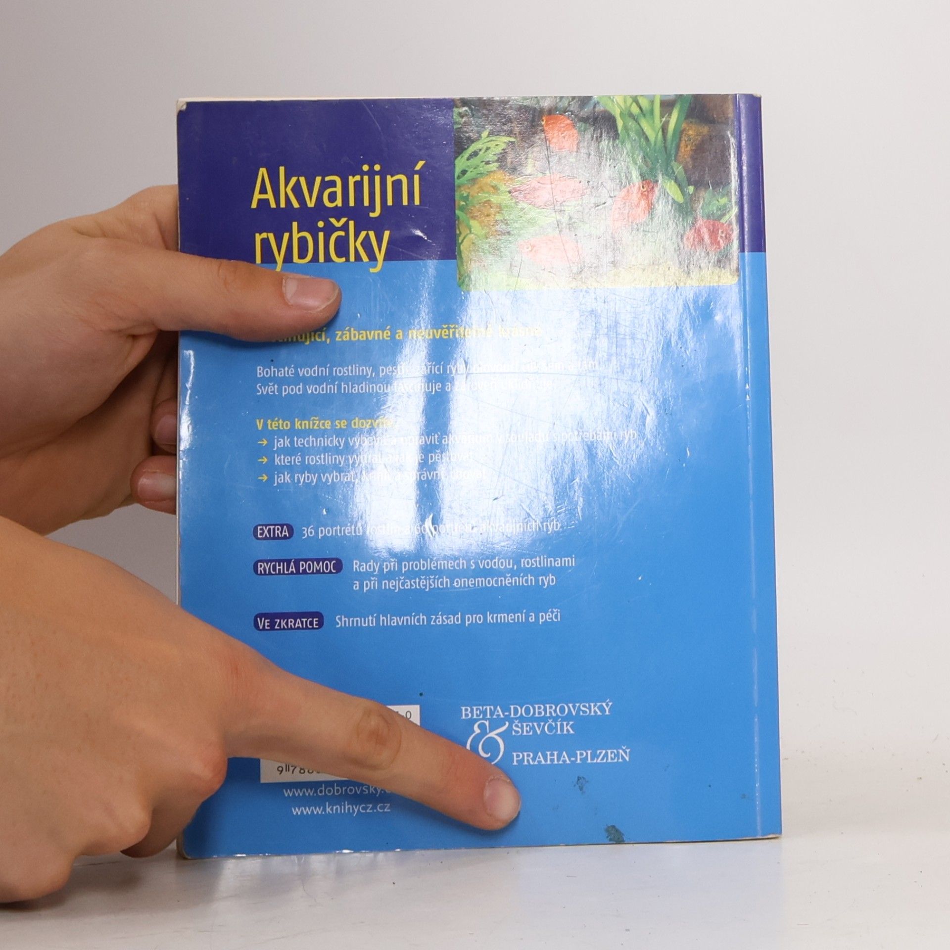 Angela Beck Akvarijní rybičky. Ryby & rostliny, vybavení akvária & péče