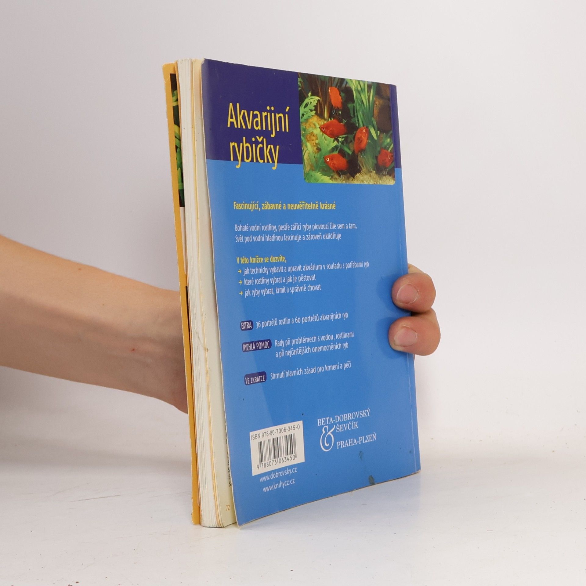 Angela Beck Akvarijní rybičky. Ryby & rostliny, vybavení akvária & péče