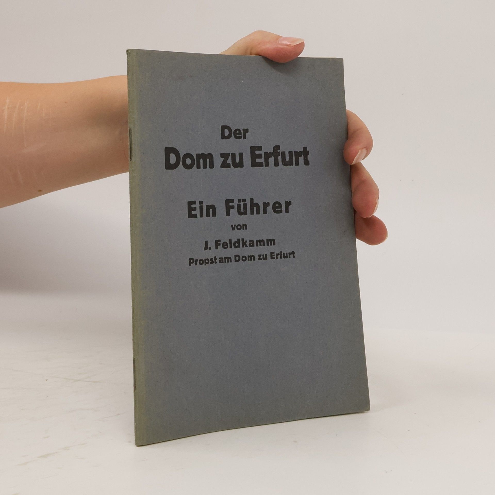 Der Dom zu Erfurt