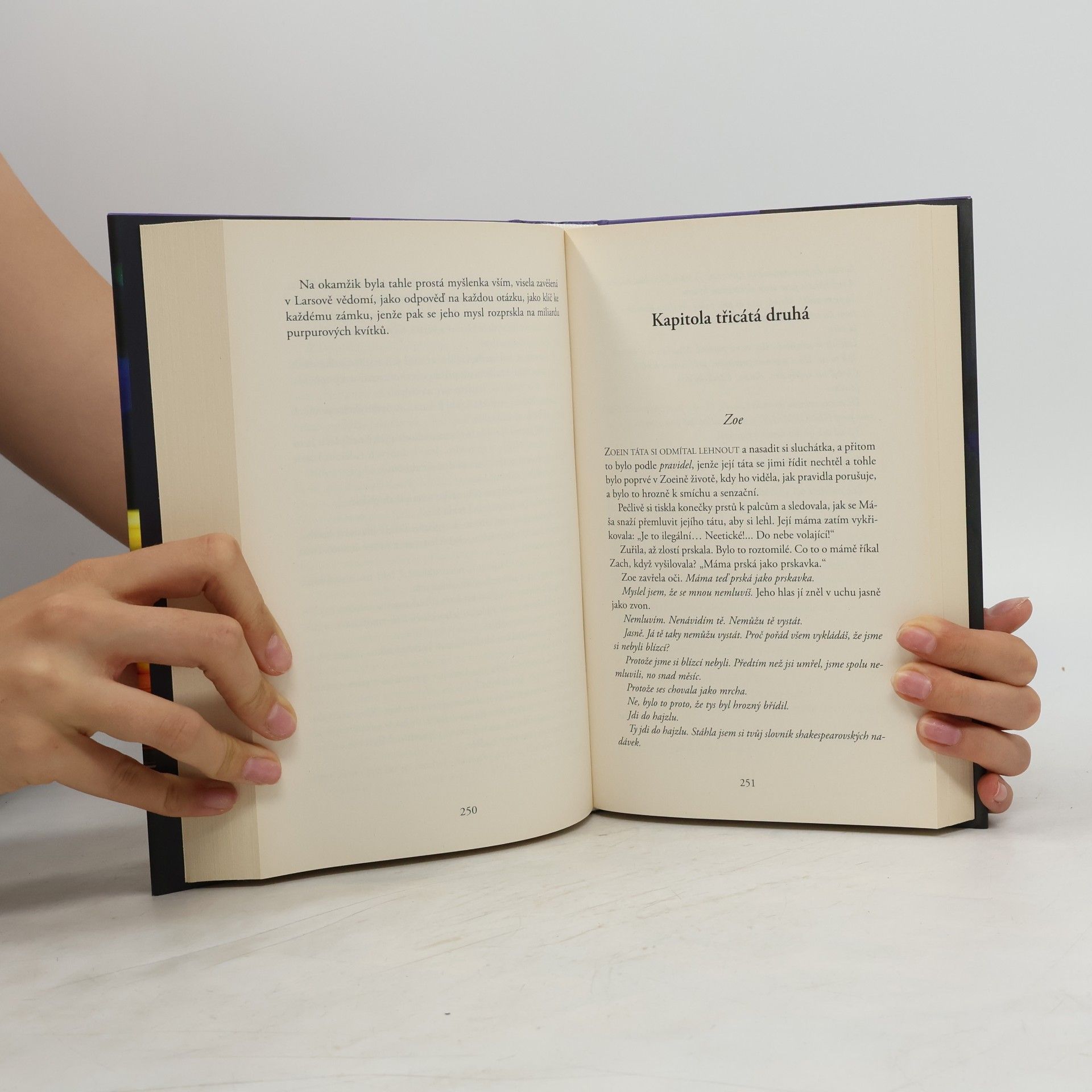 Liane Moriarty Úplně cizí lidé