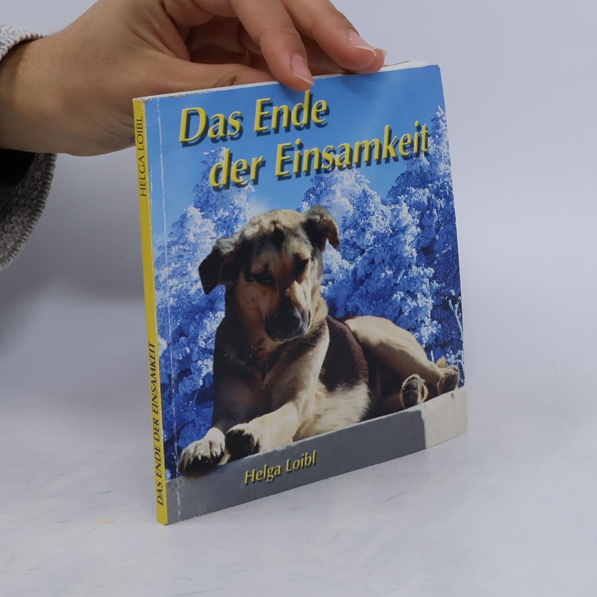 Das Ende der Einsamkeit