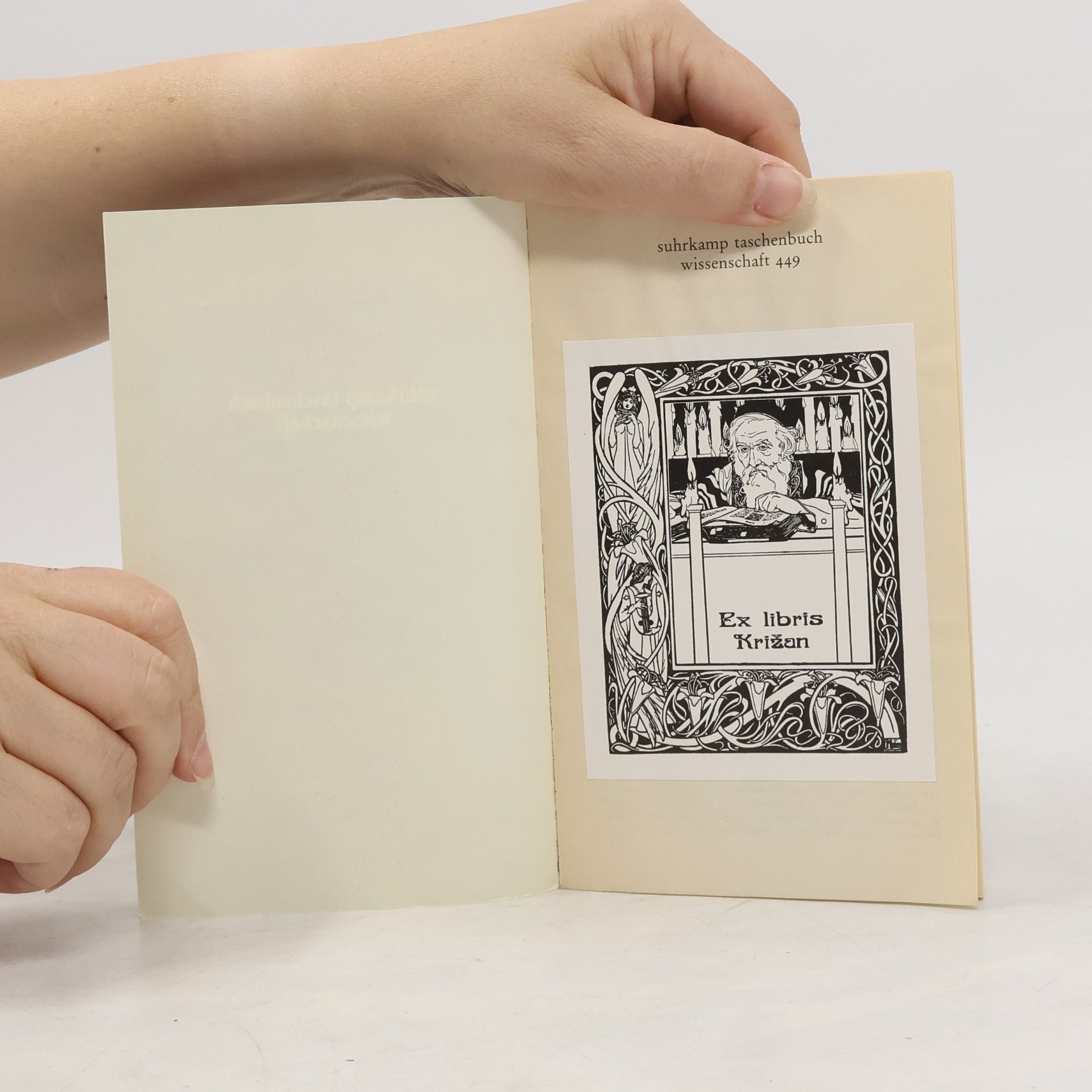 Herbert Schnädelbach Suhrkamp Taschenbuch Wissenschaft - 449: Rationalität