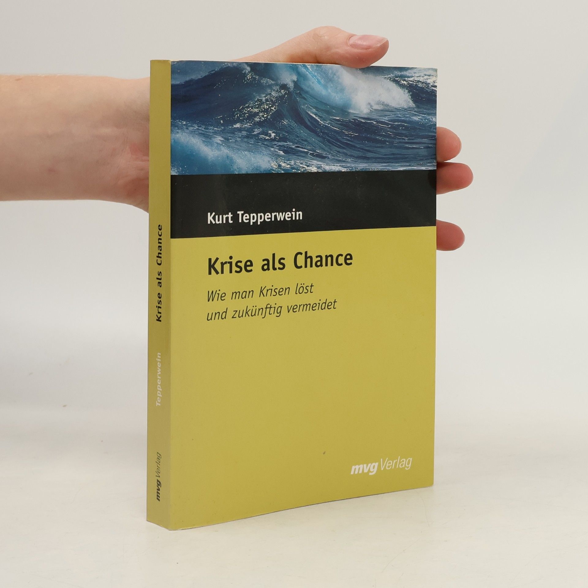 Kurt Tepperwein Krise als Chance