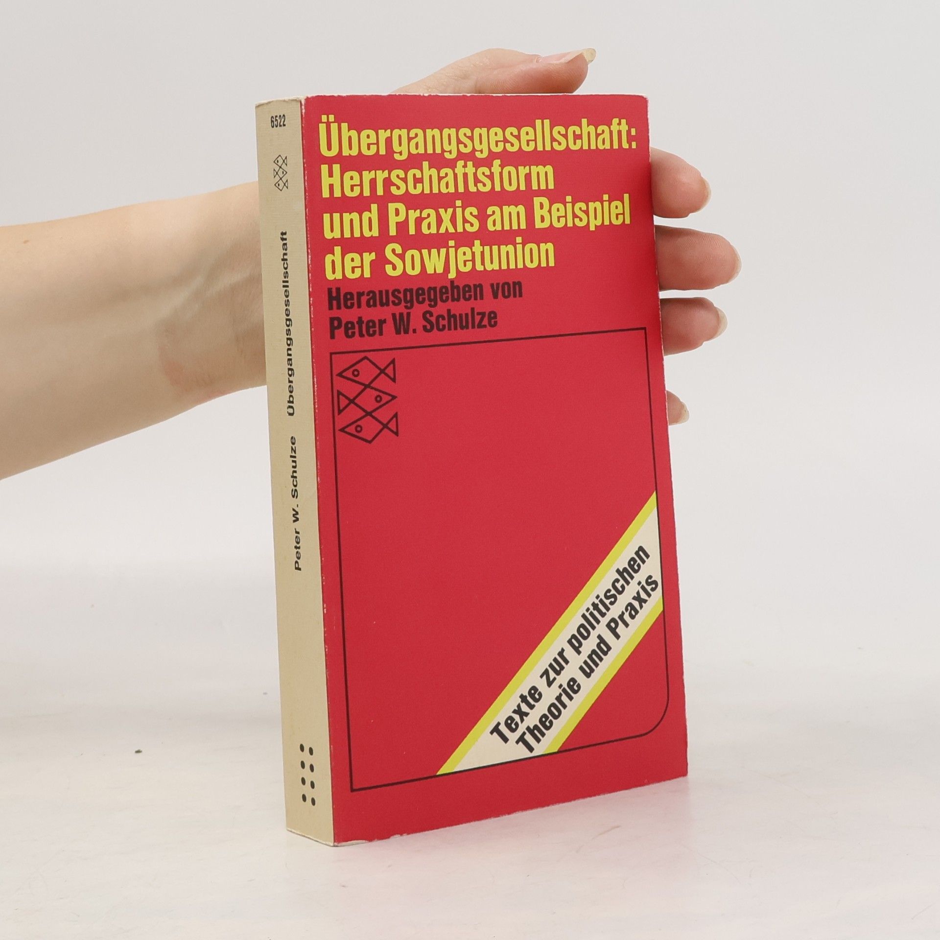 Übergangsgesellschaft, Herrschaftsform und Praxis am Beispiel der Sowjetunion