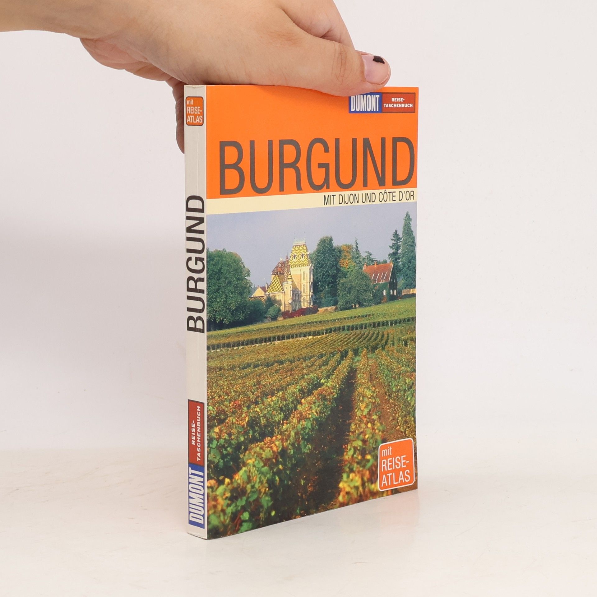 Klaus Simon Burgund