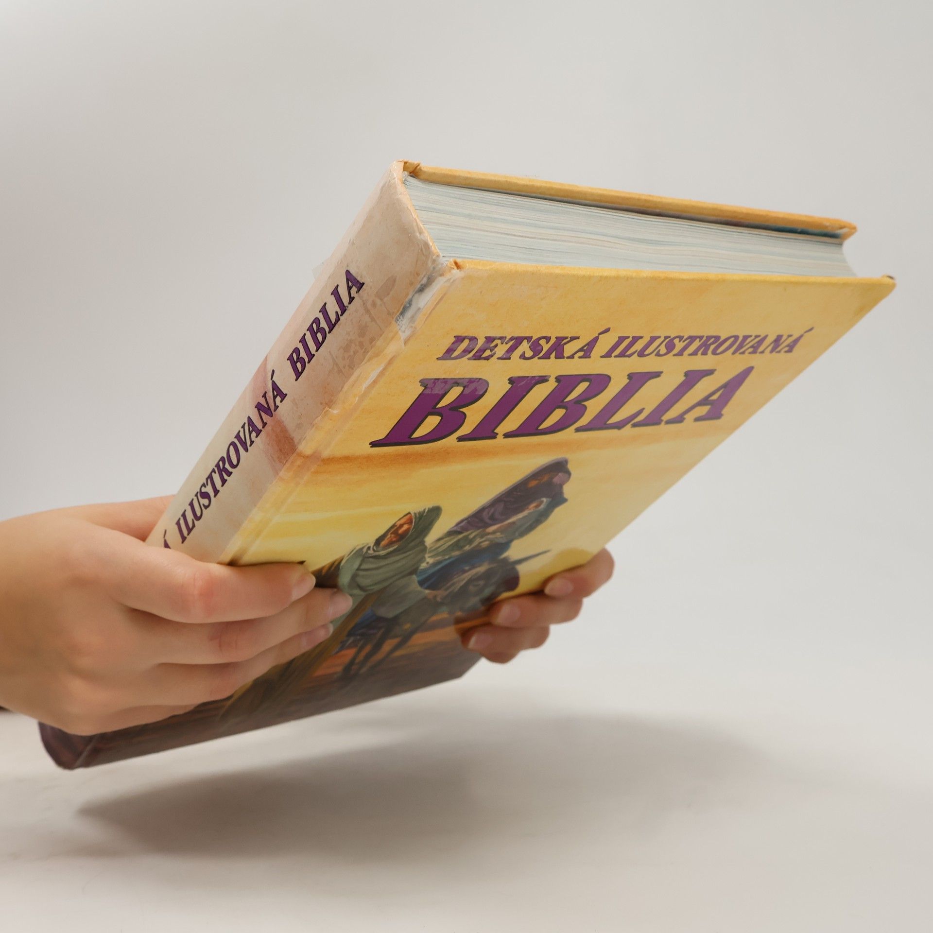Iveta Pijáková Detská ilustrovaná Biblia